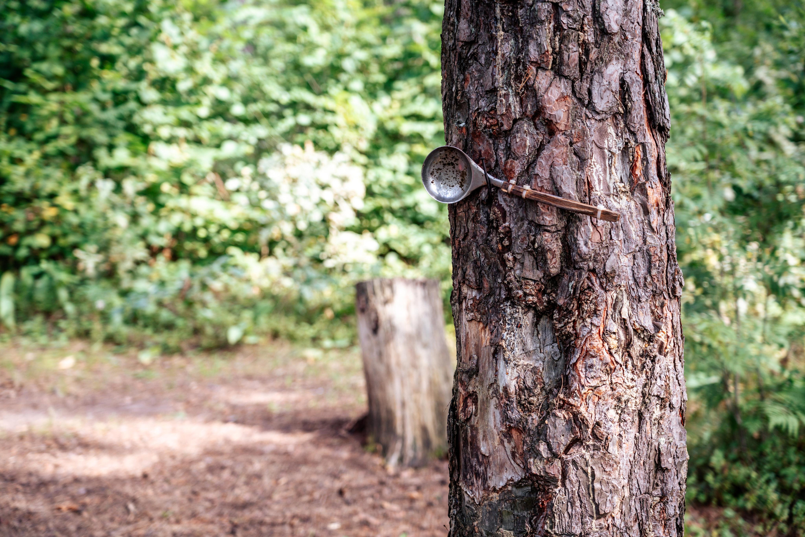 Pėsčiųjų turas. OnePIXEL