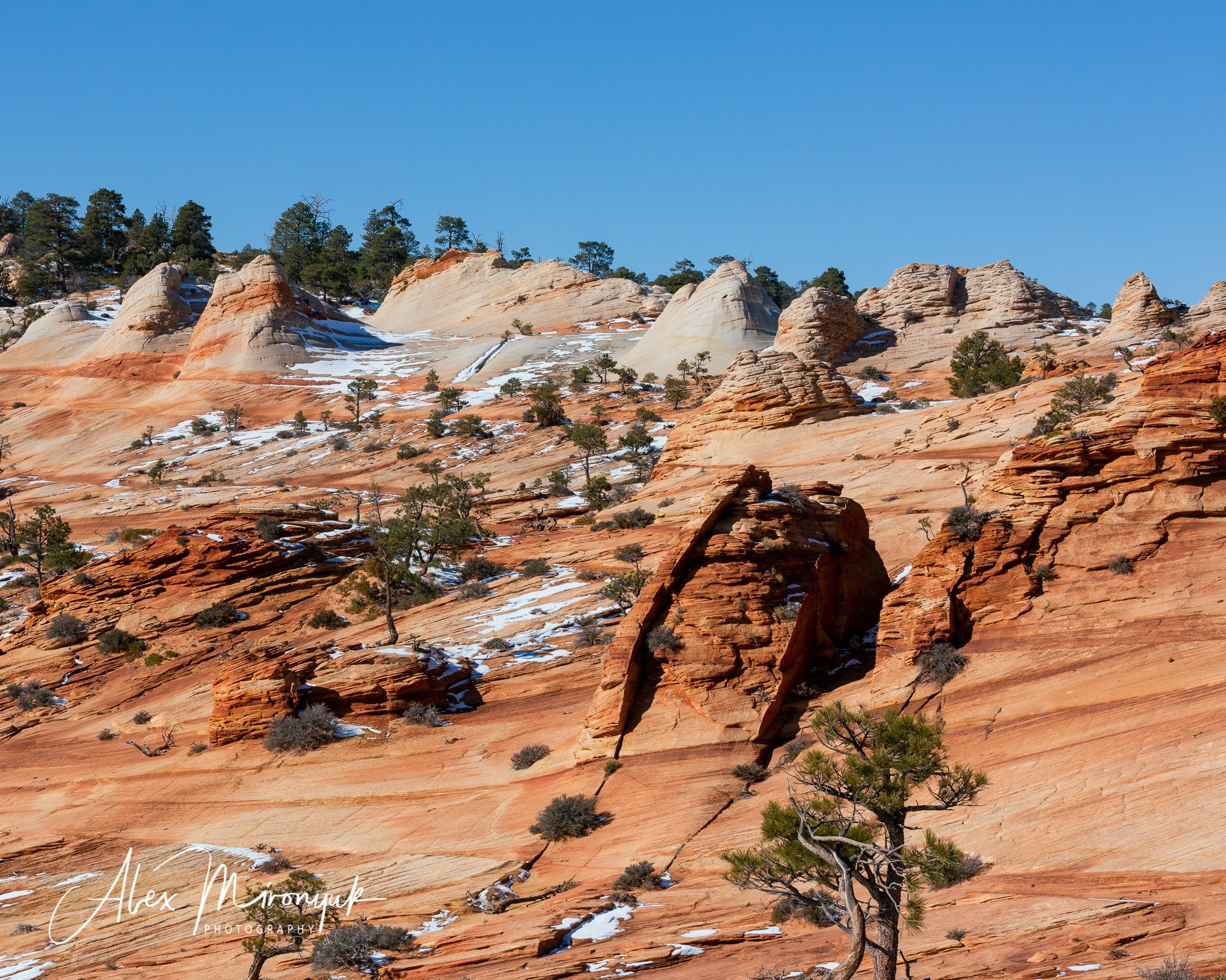 New Year In Utah. Pet, Senior, Landscape, portrait studio, photographer in Miami and Sou