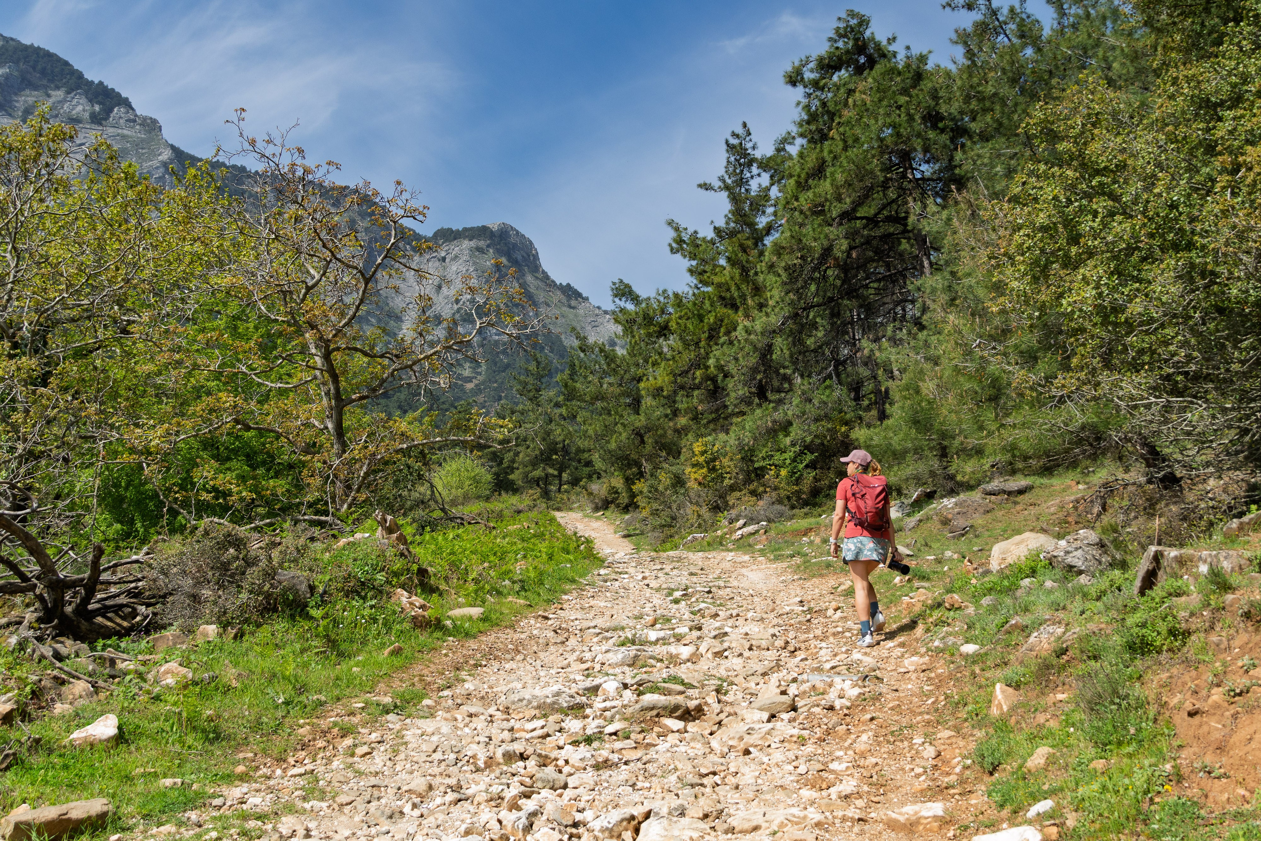 Thasos 2025. Fotografiideplacere.net