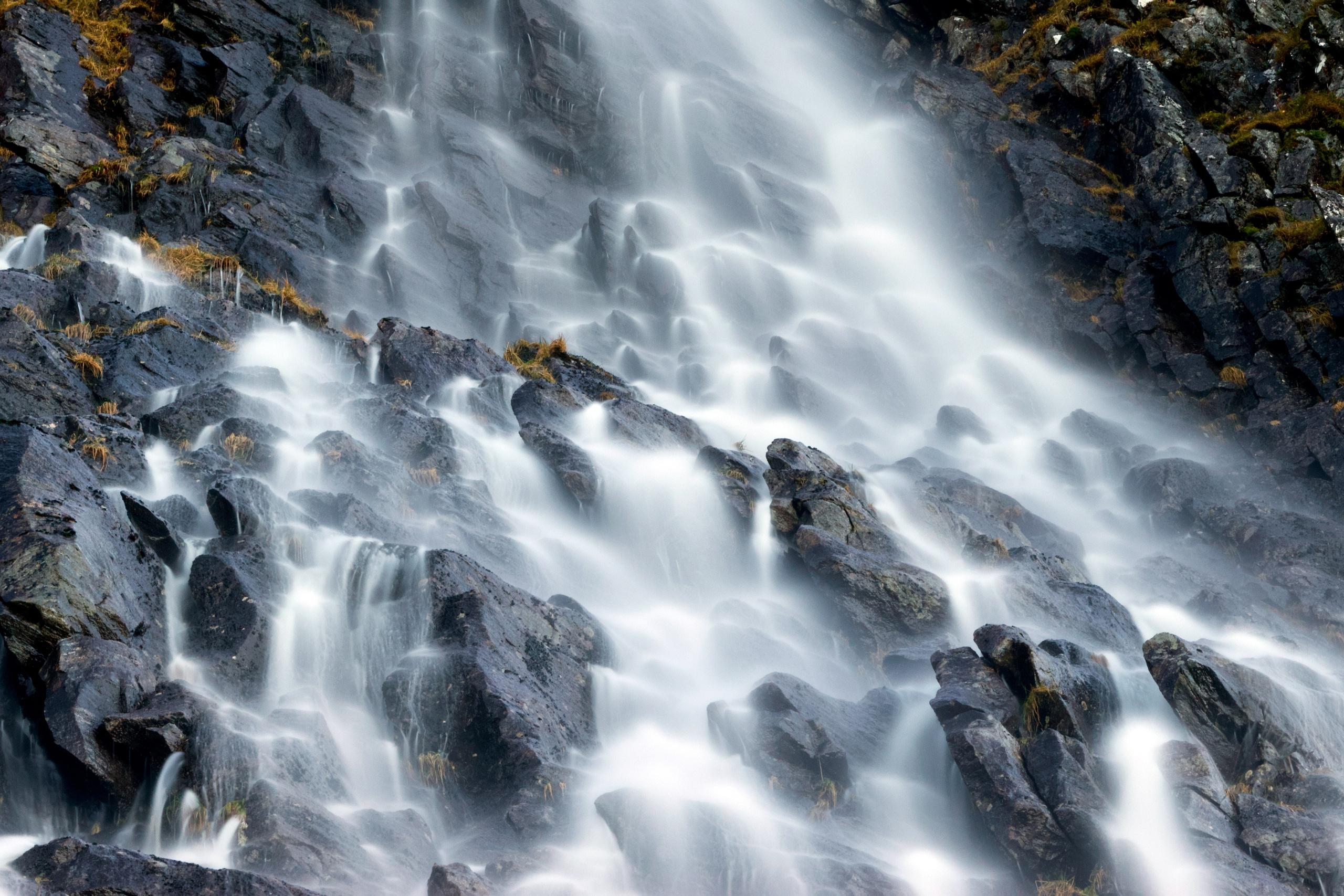 Prints by D.Todosyev