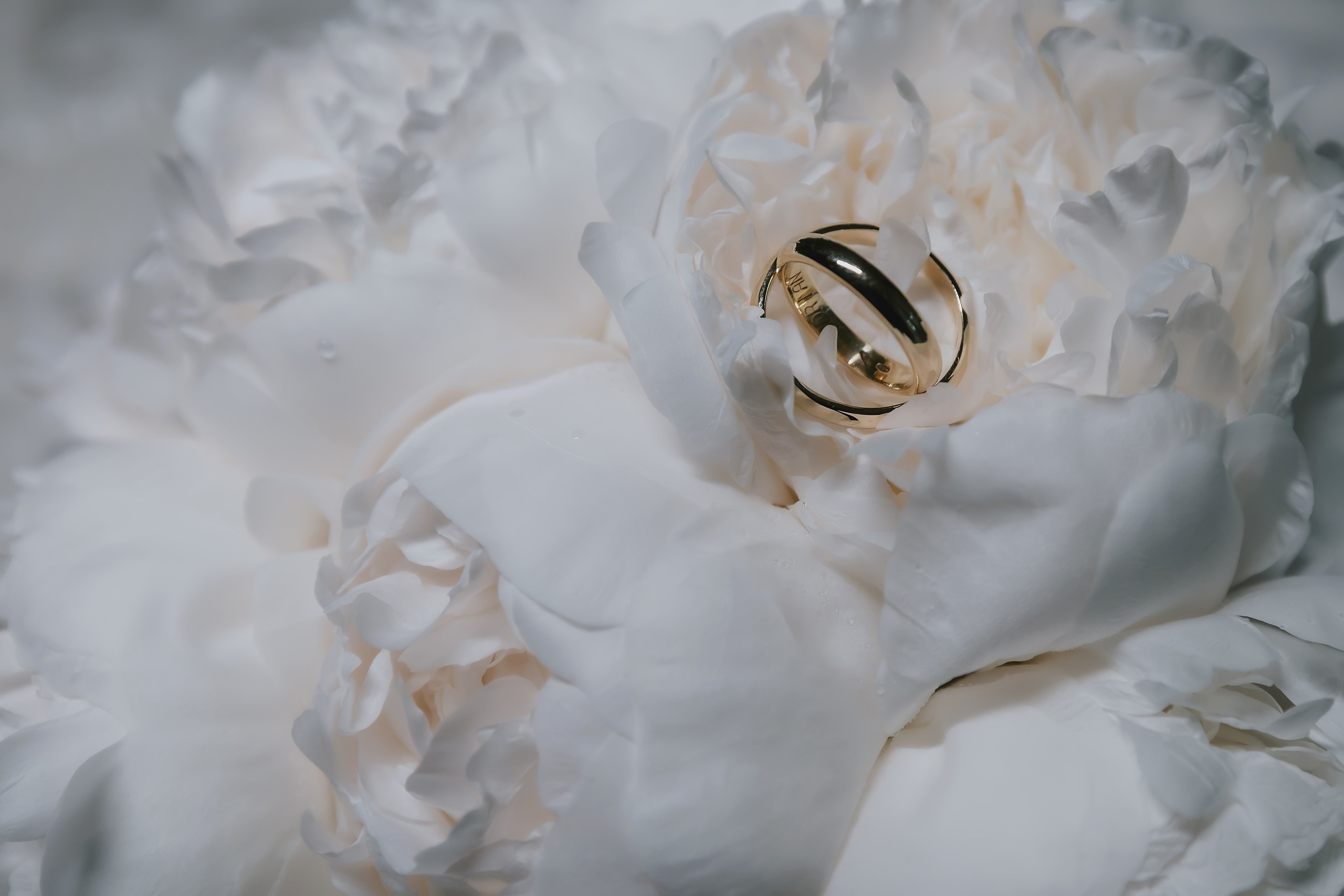 Roxana & Adrian. Romeo Dimache — Wedding photographer in Romania