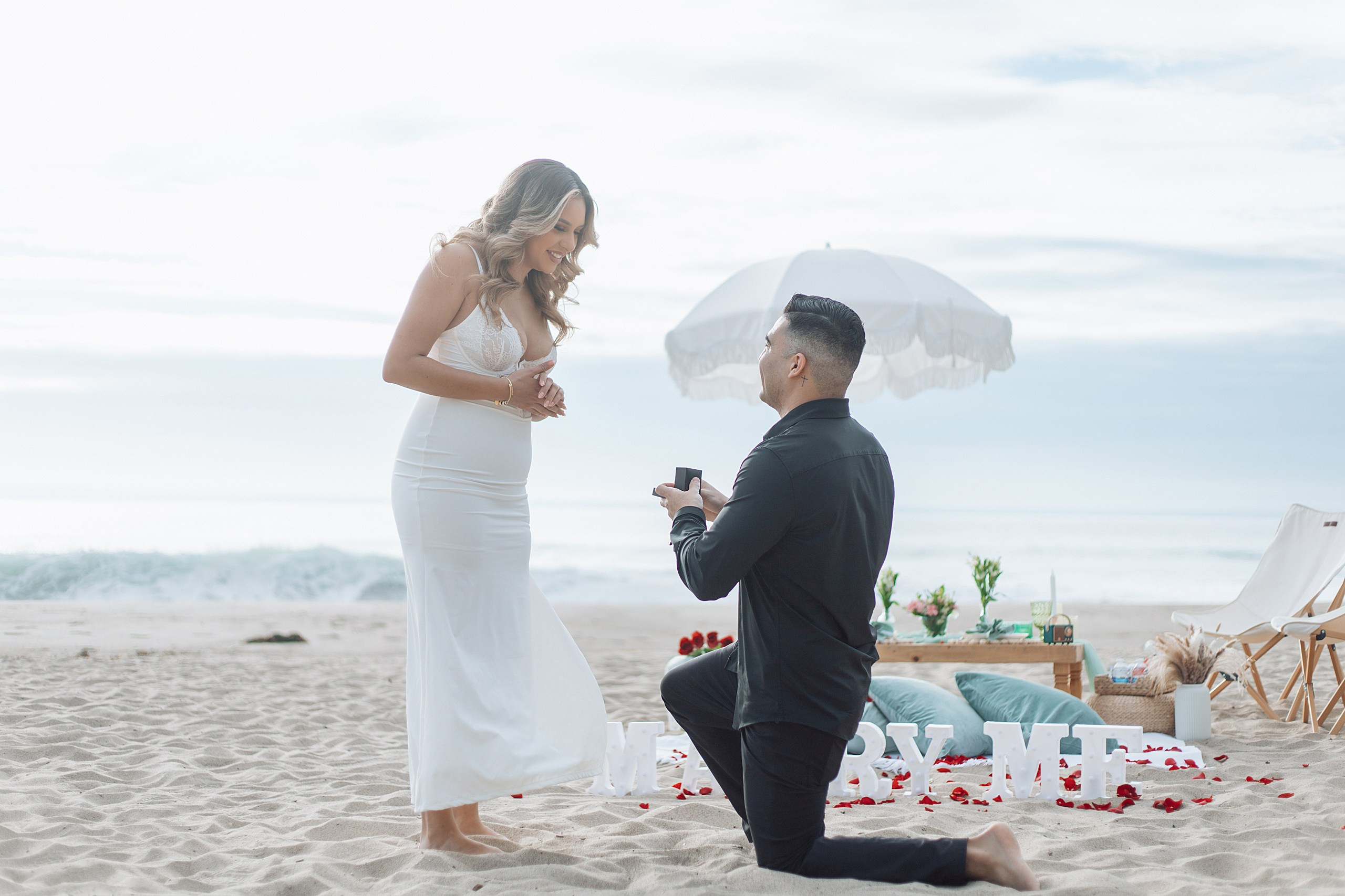 Proposal in the Malibu. Main