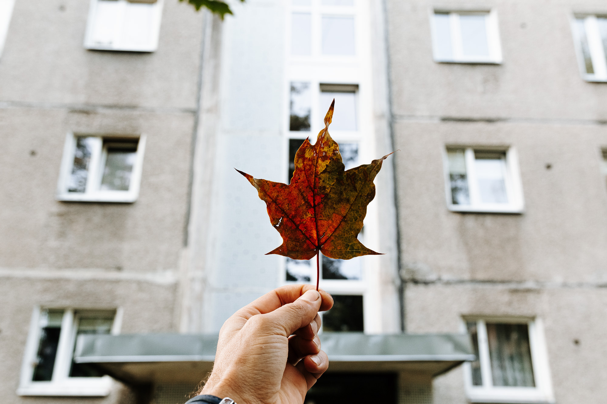 Kāzu rīts Ķīpsalā un ceremonija Jelgavas tornī