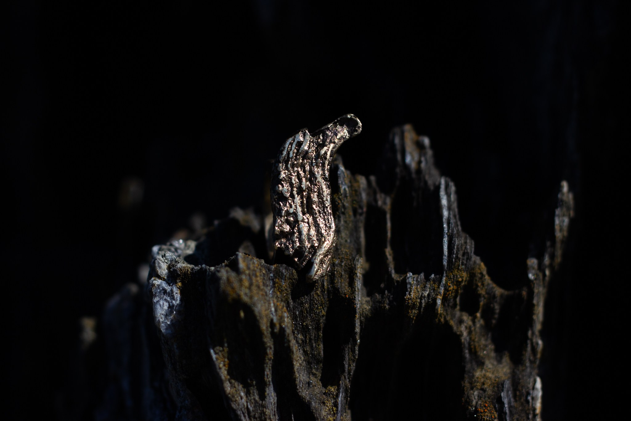 GA·DASHI | MULTIDISCIPLINARY ART