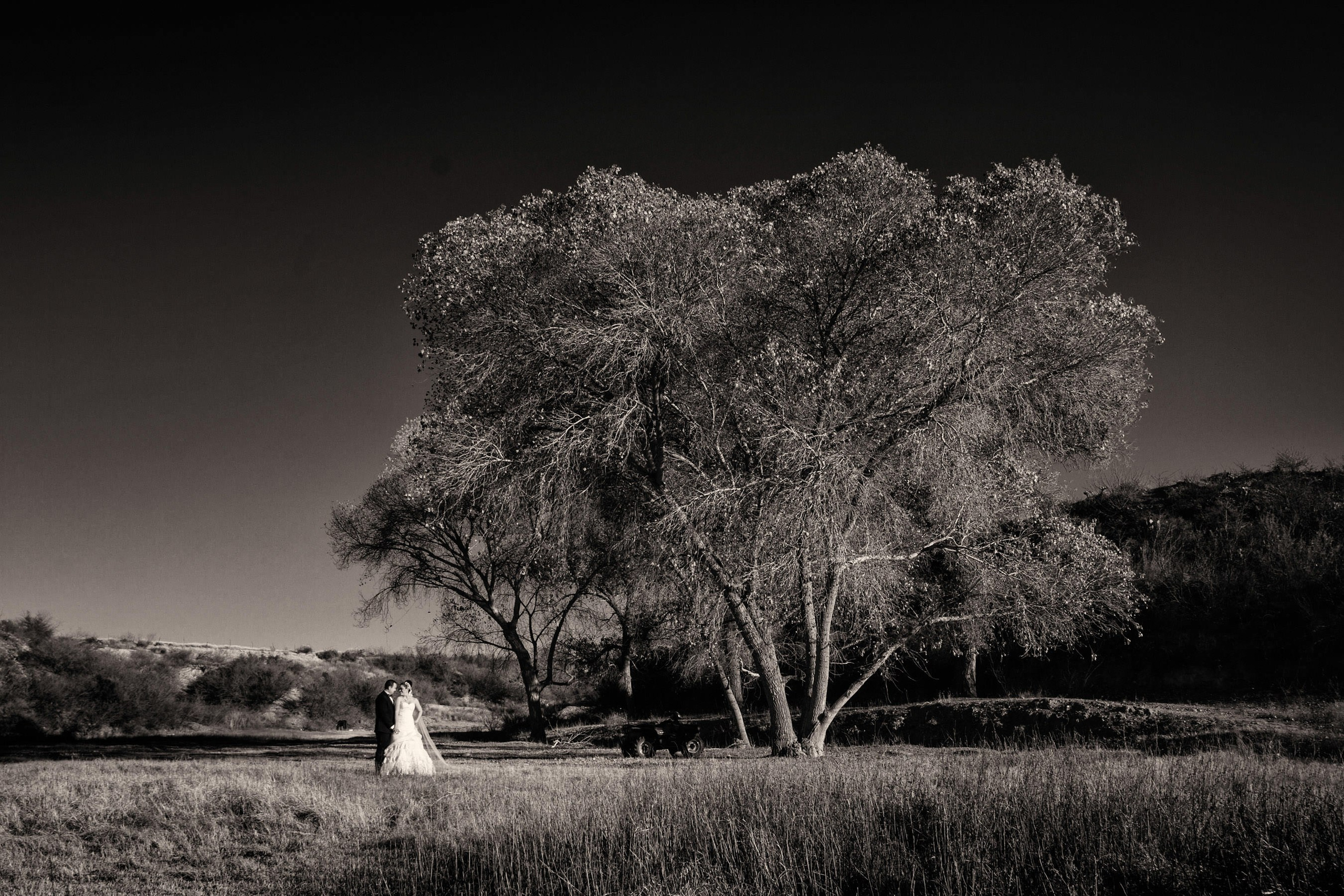 Wedding. Professional Photographer in Chihuahua, Mexico — Alex Mendoza