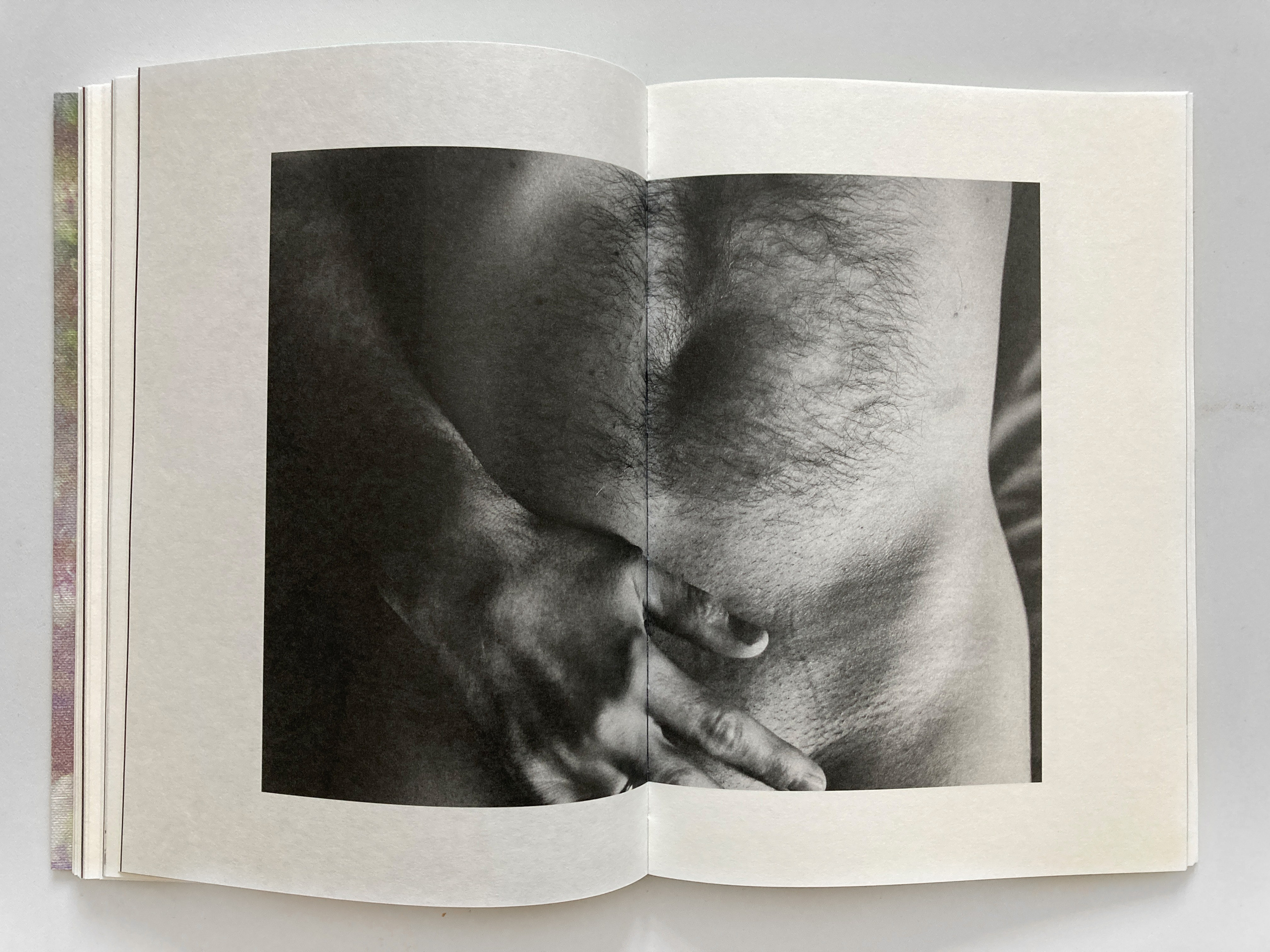 The Garden of Earthly Delights. Sveta Kaverina