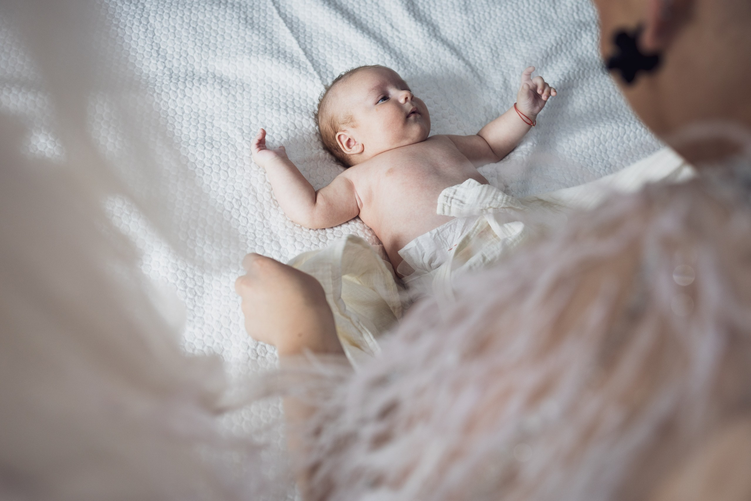 Sergiu Petrisor. Acasă