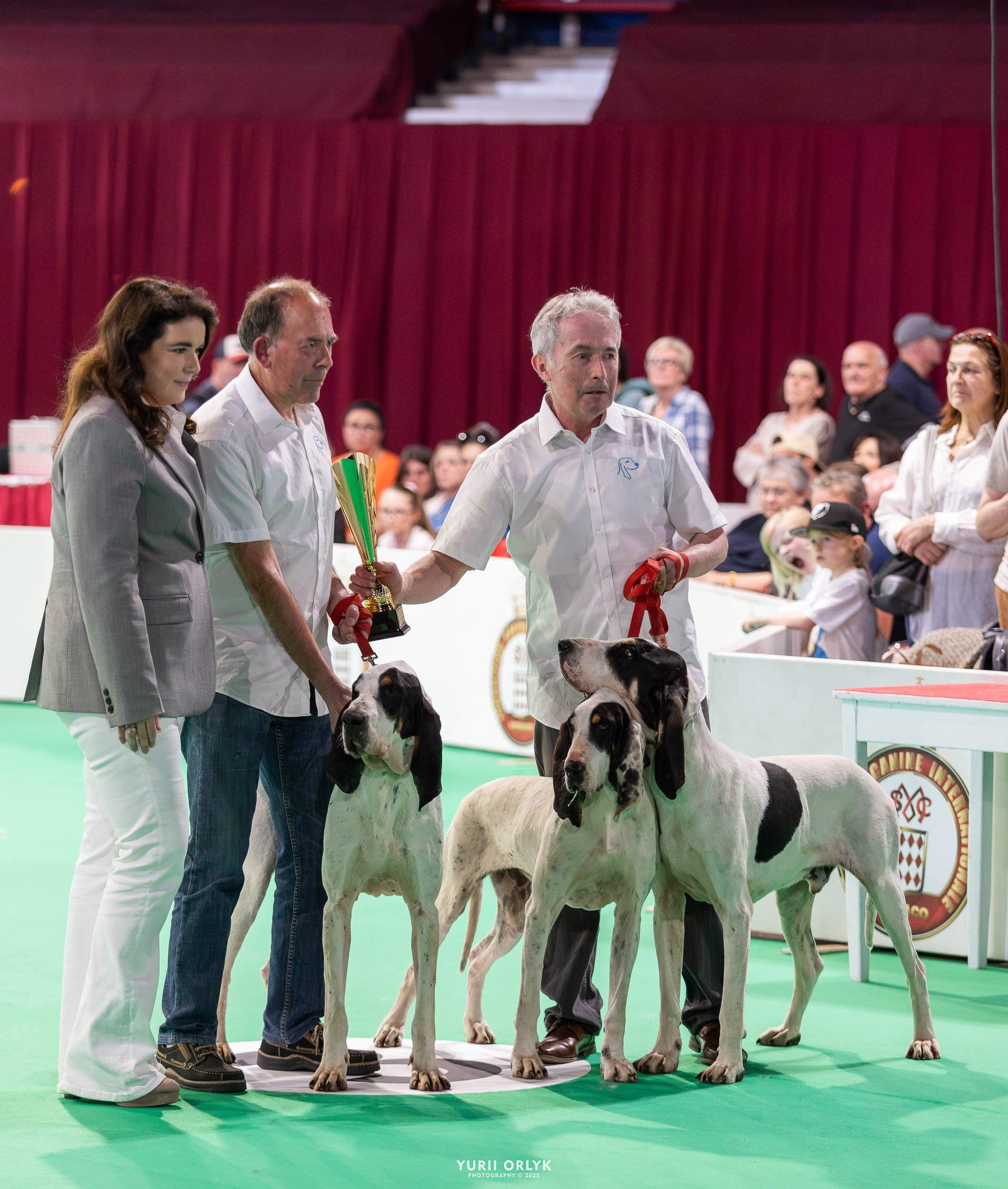 Dog Shows. Yurii Orlyk Photography
