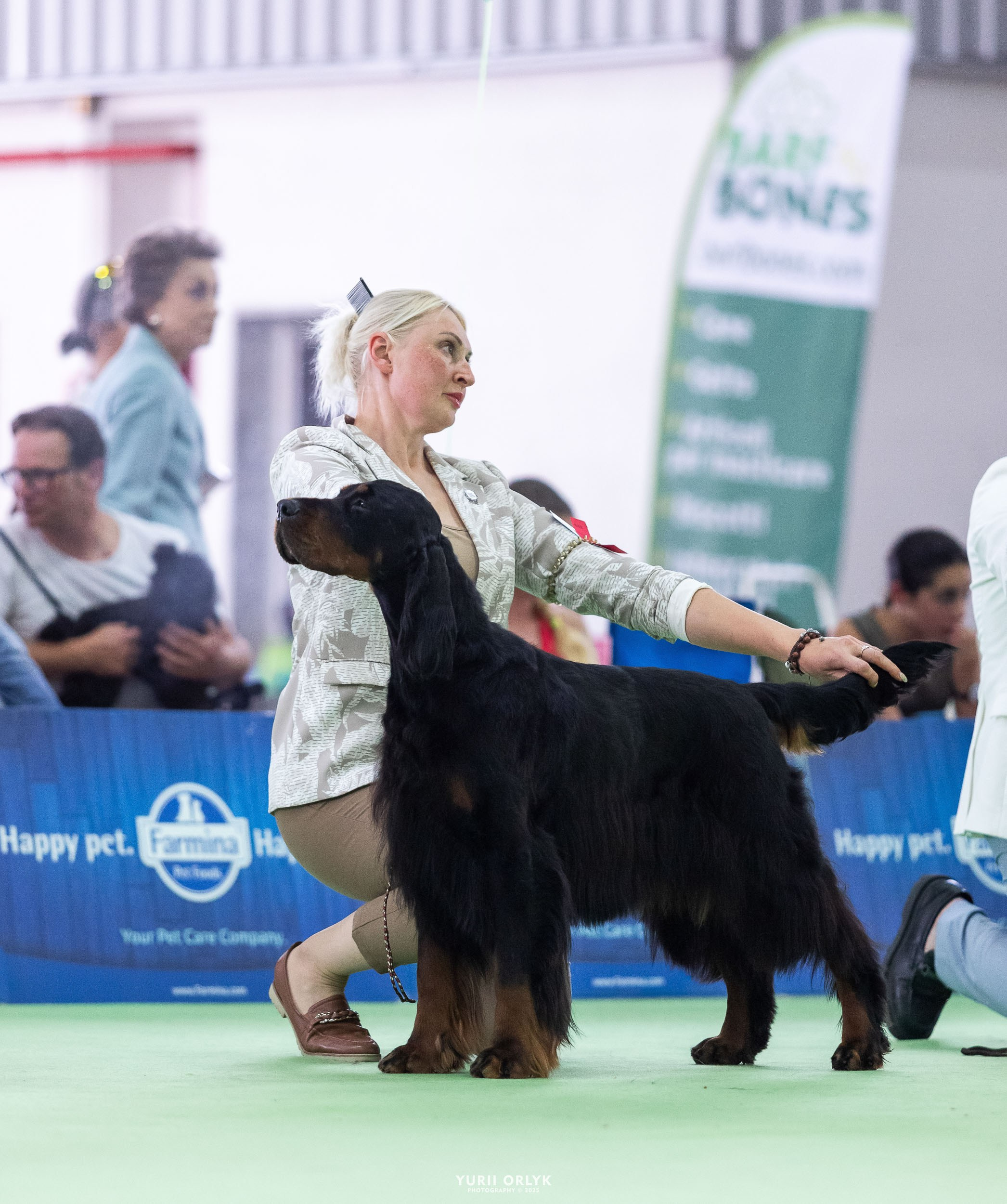 Dog Shows. Yurii Orlyk Photography