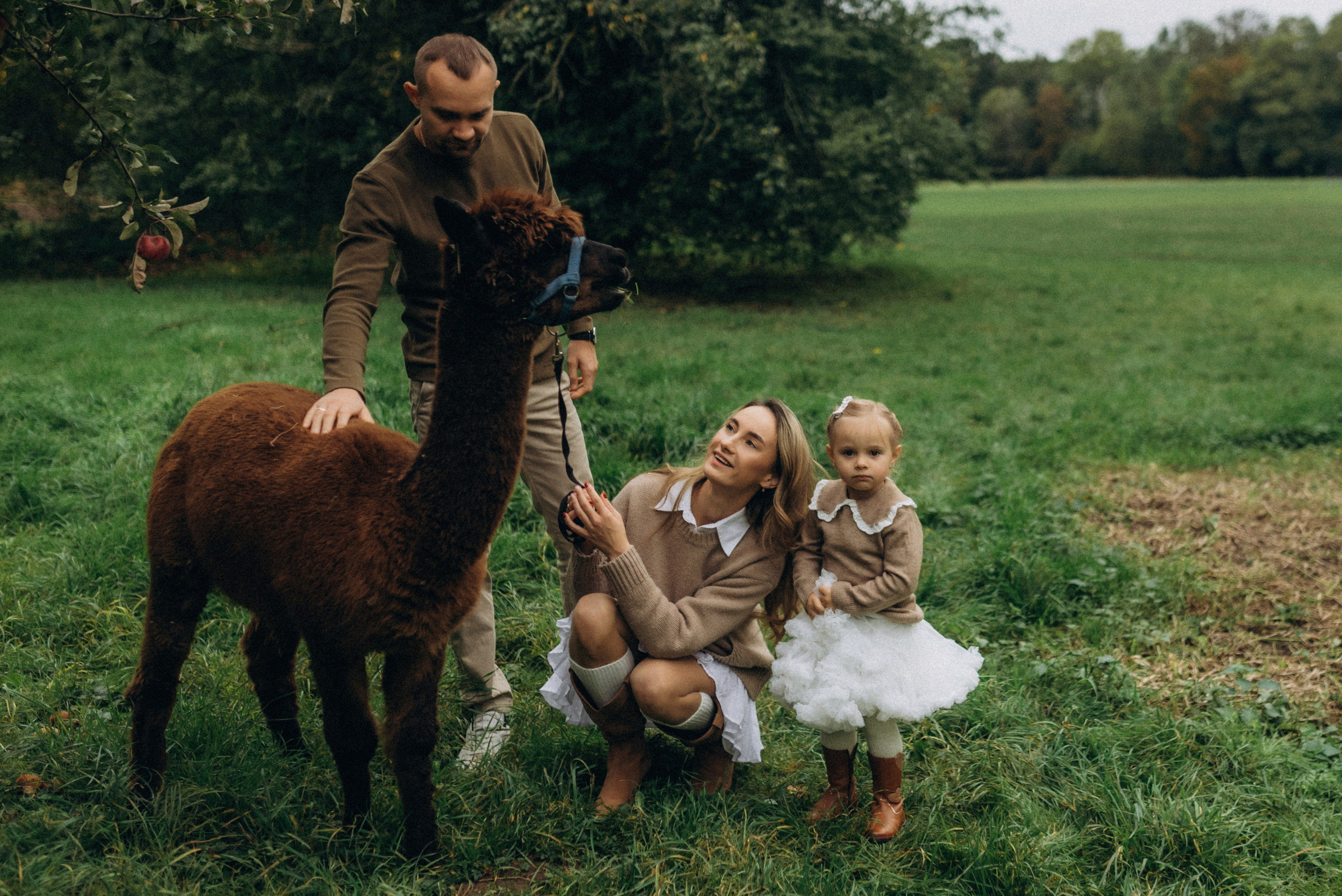 Семейная фотосессия с альпаками. Семейный фотограф Лейпциг, Германия