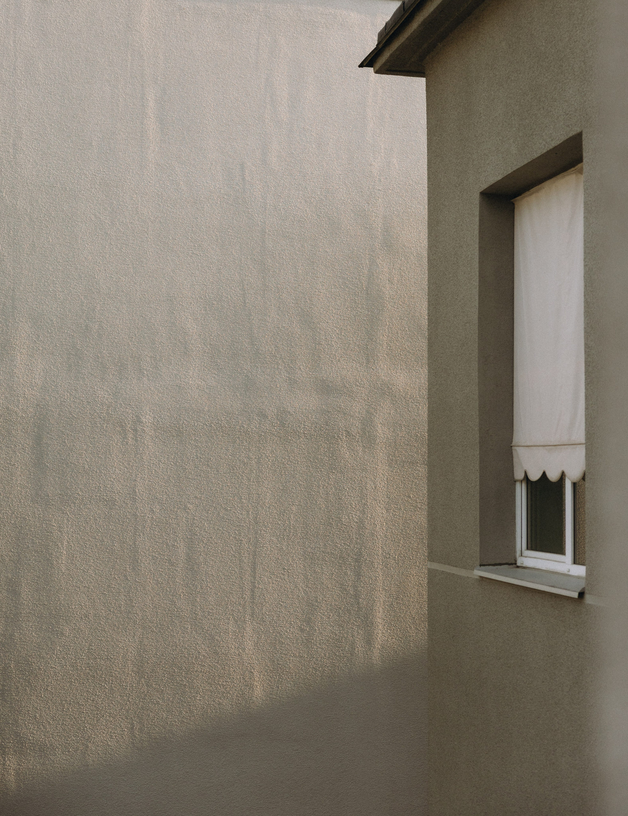 Paulina ir Deivydas | vestuvės Vynvytyje | Kaunas 2025. Vestuvių ir šeimų fotografė Lena Bondarenko / belove photo