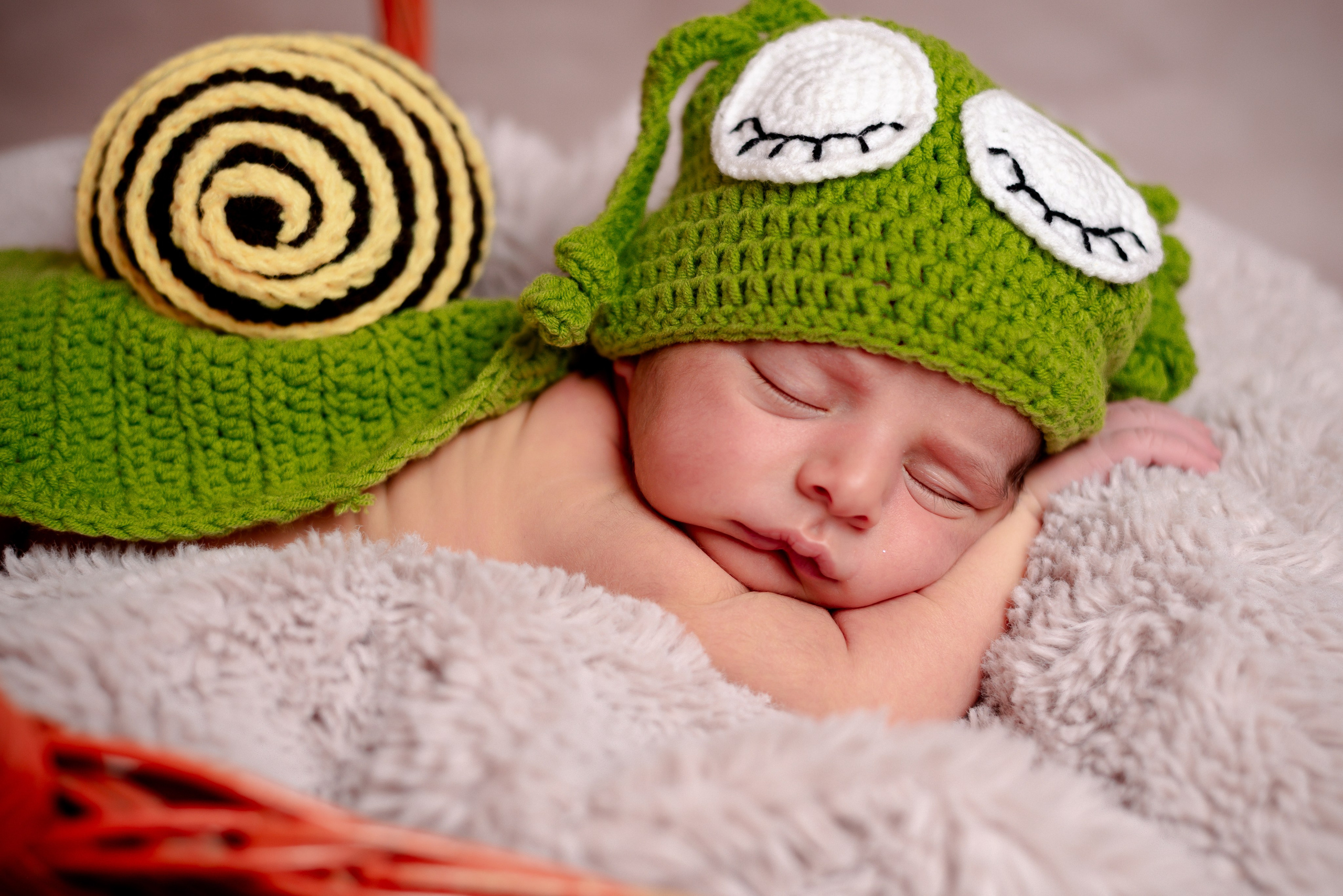 Newborn Photoshoot. Professional Photograher, Antwerpen/Belgium