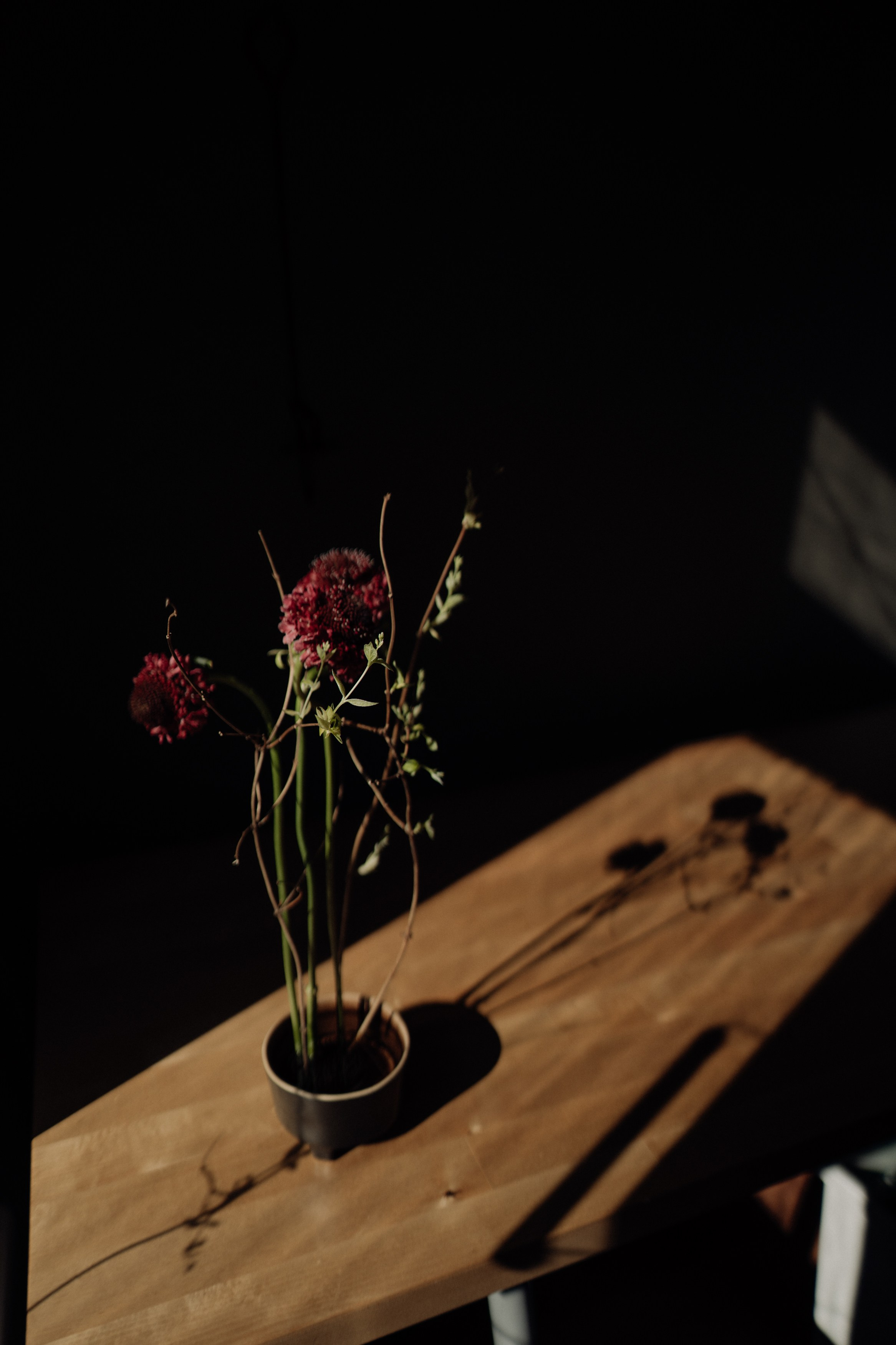 Elena. Фотограф в Праге Анна Лебедева