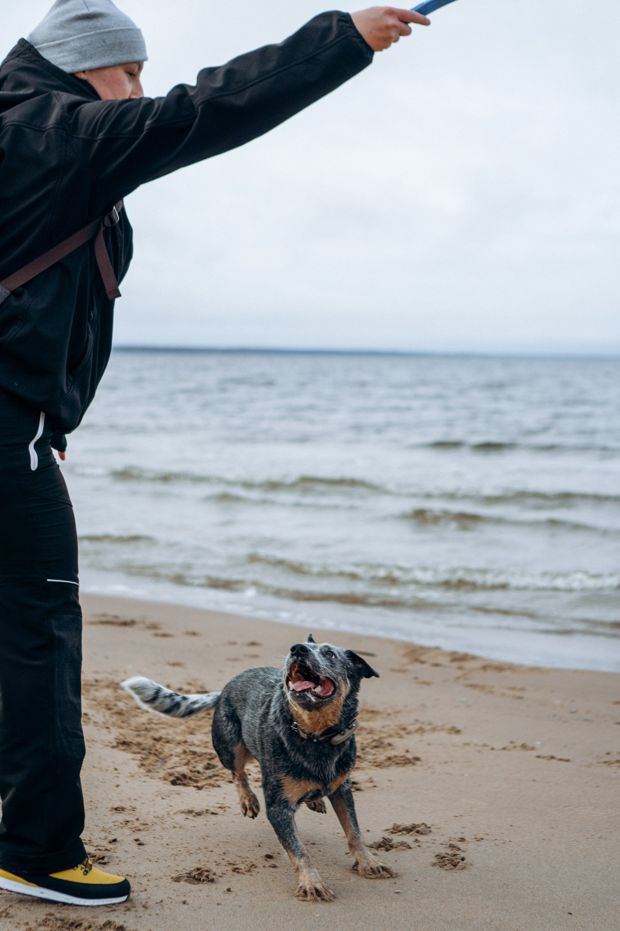Polina and her Dakota, Australian Cattle Dog. Kat Laisaar — Pet photographer in Tallinn