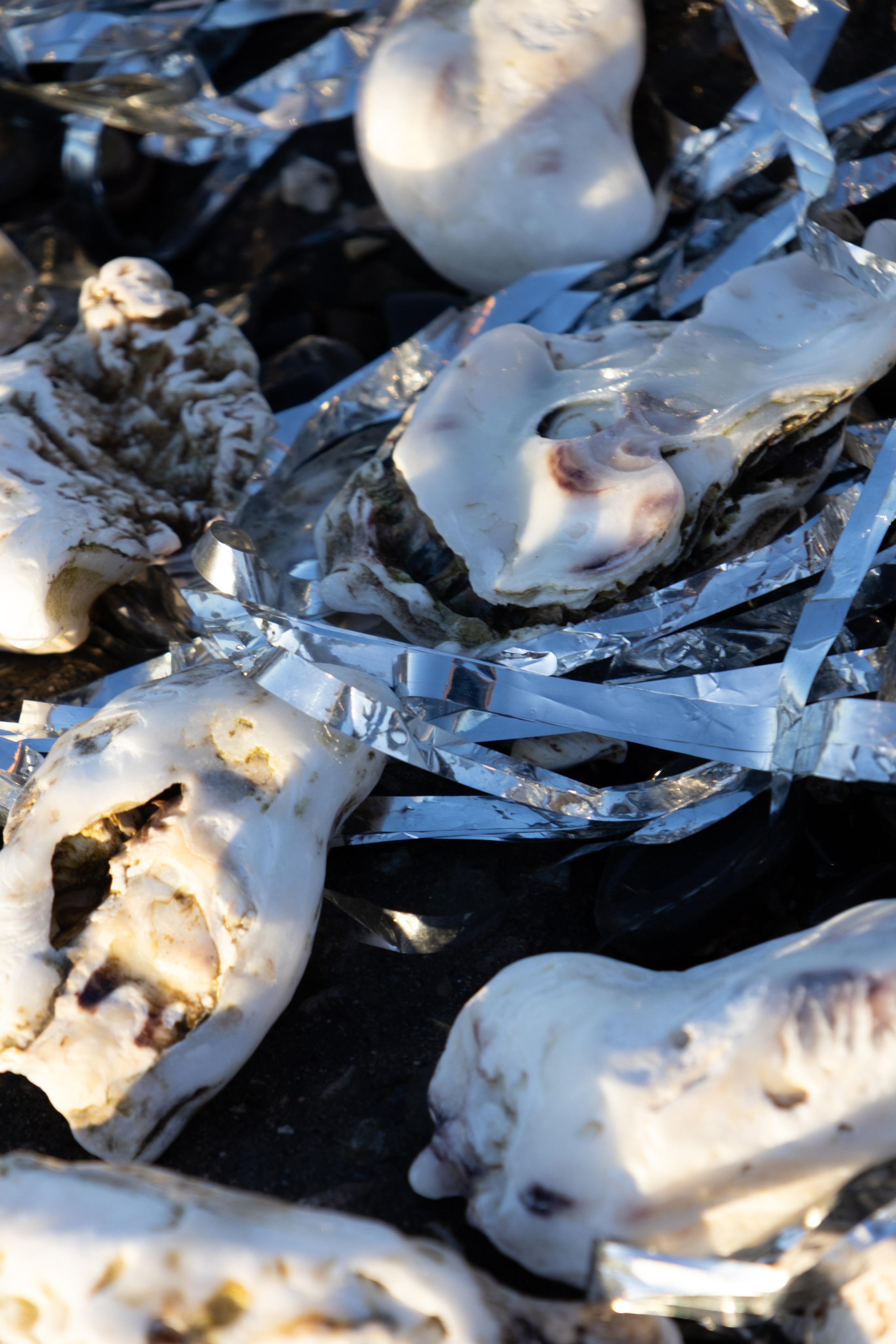 Daria. Fotograf Anastasia M