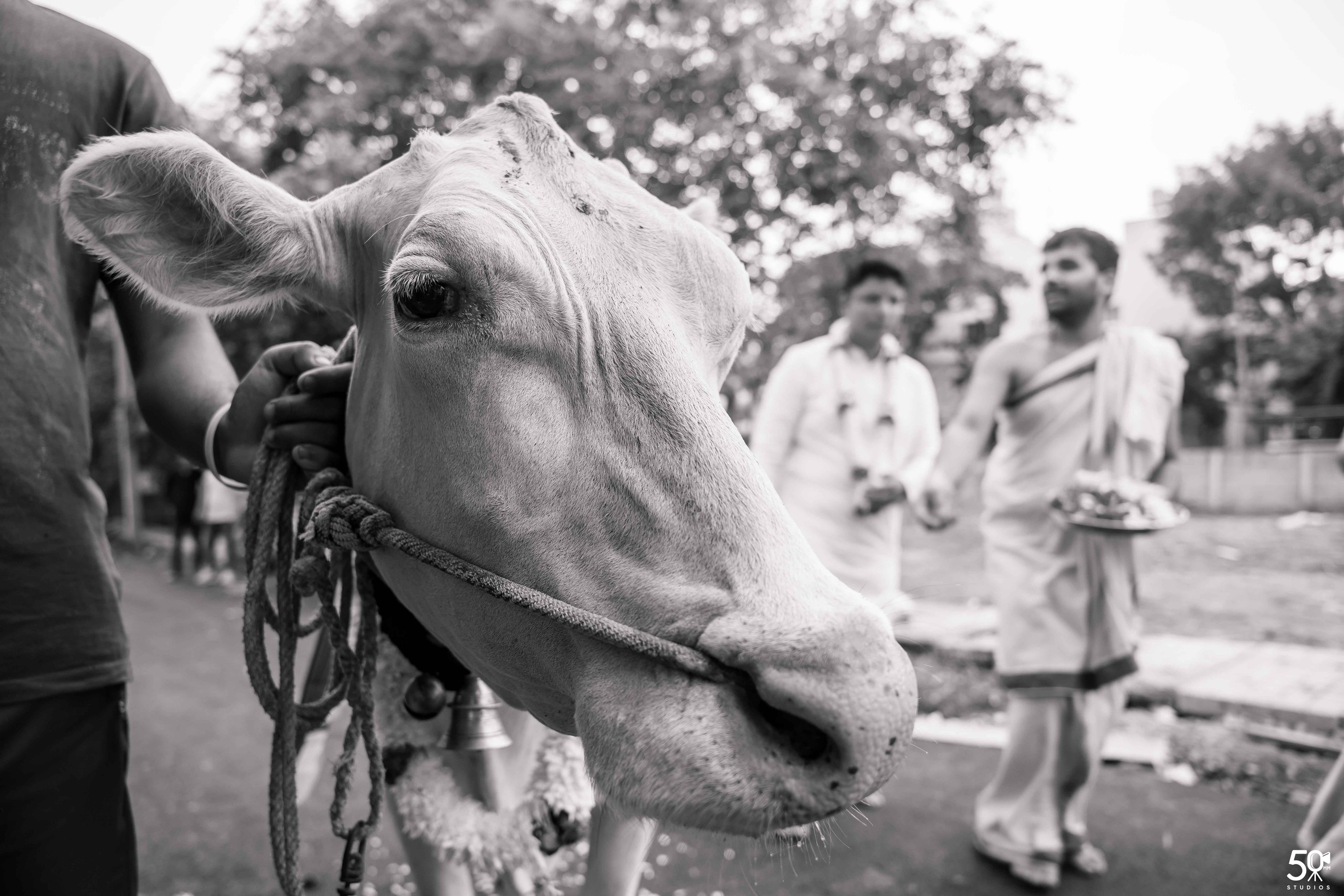 DWARAKADEESHA GRUHAPRAVESHA. 50mm STUDIOS