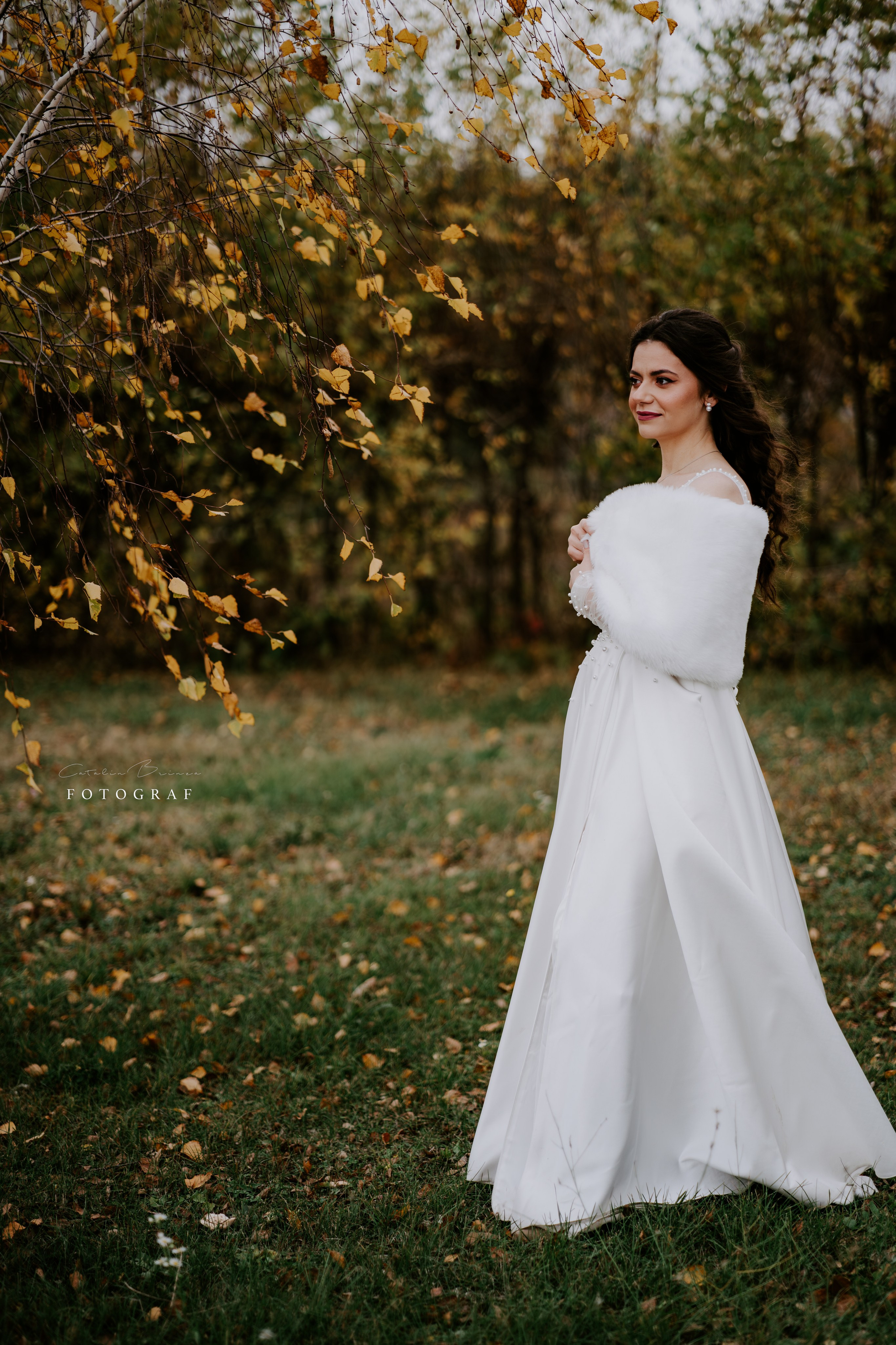 TTD — Ioana&Stefan. Catalin Brinza