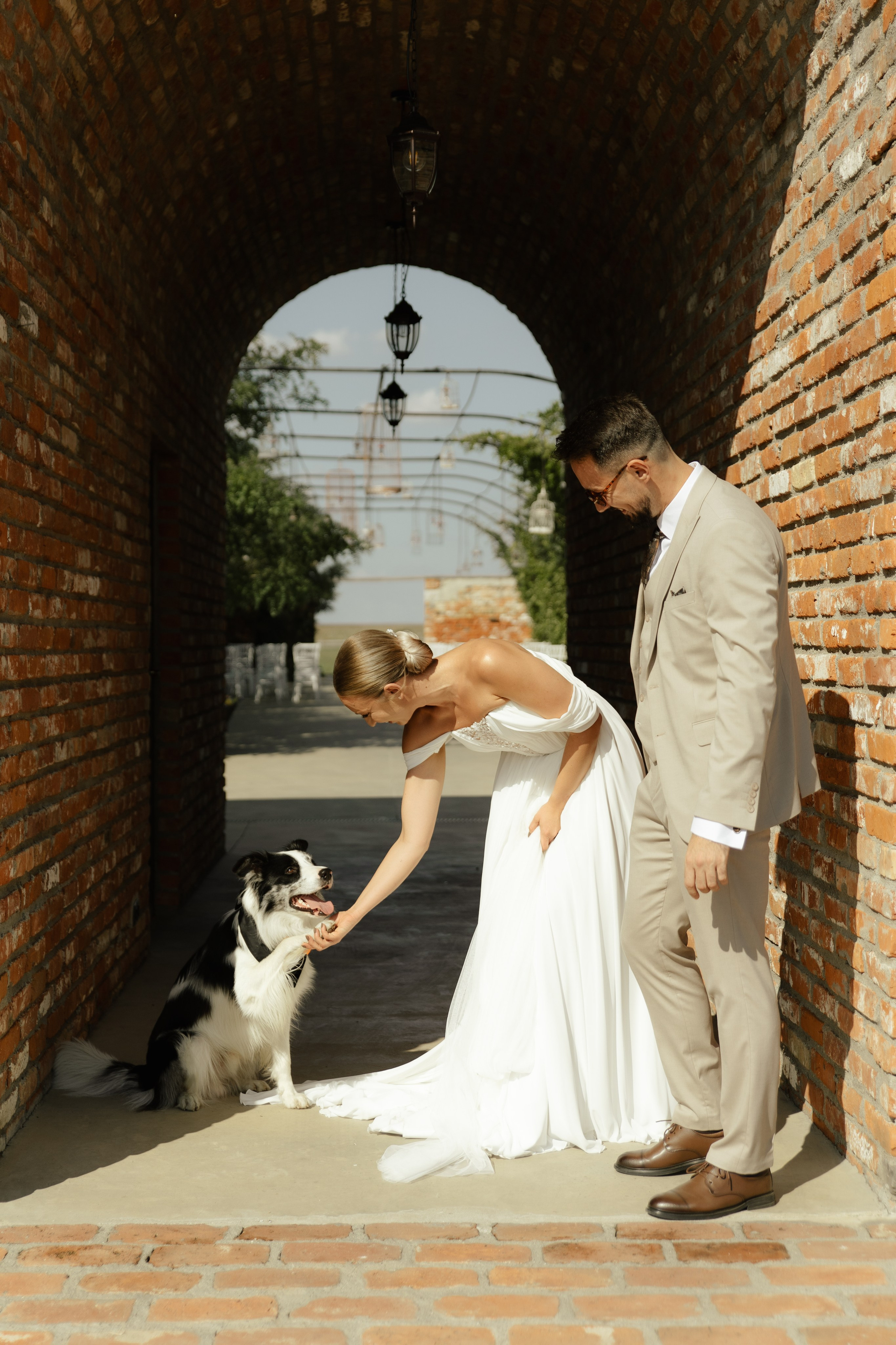 Wedding at Province Timisoara | Cristina & Robert. Wedding photographer and videographer based in Timisoara, Romania