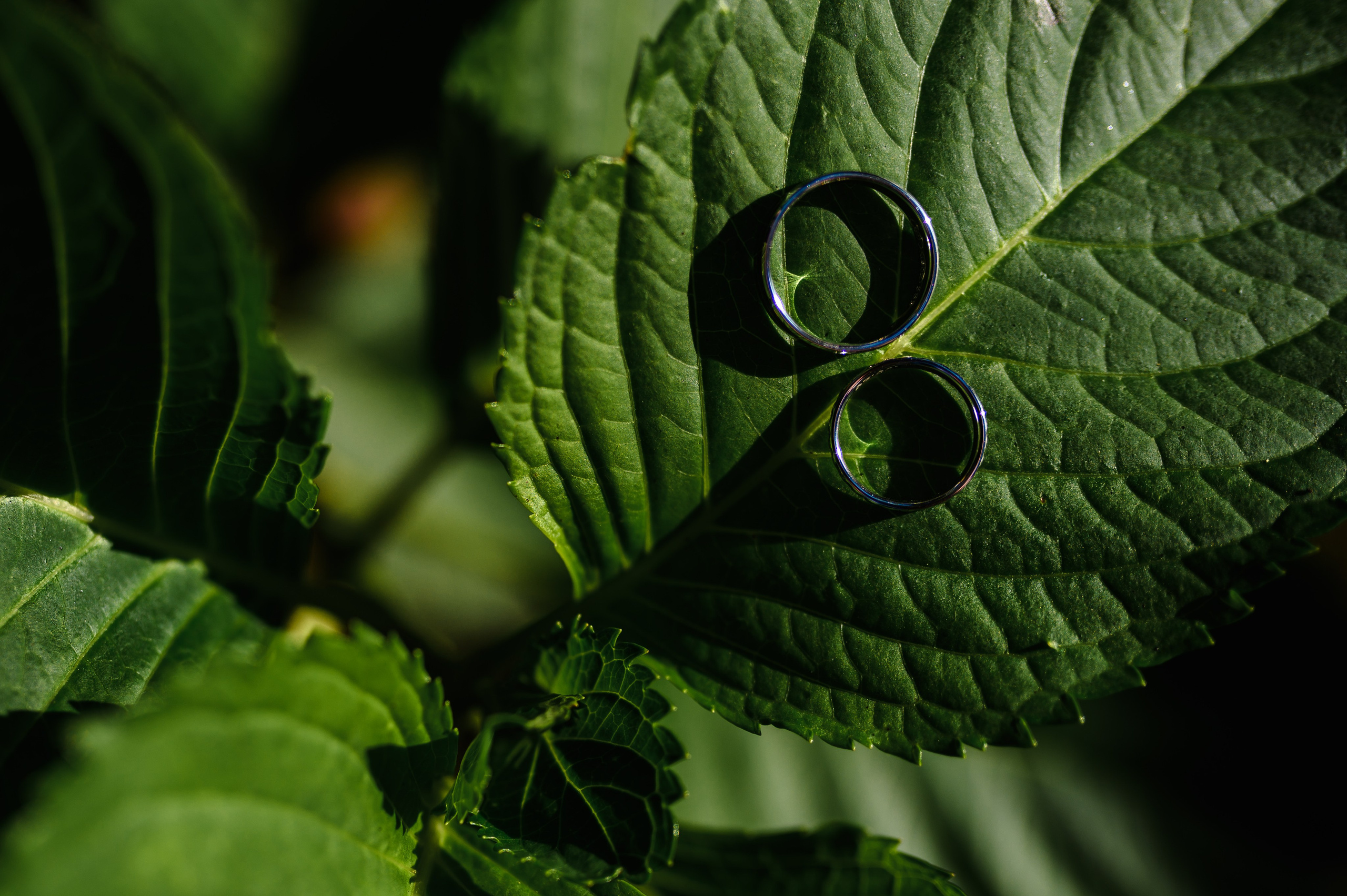 Yoyo & Cristina. Erik Bagy | Fotograf de Nuntă