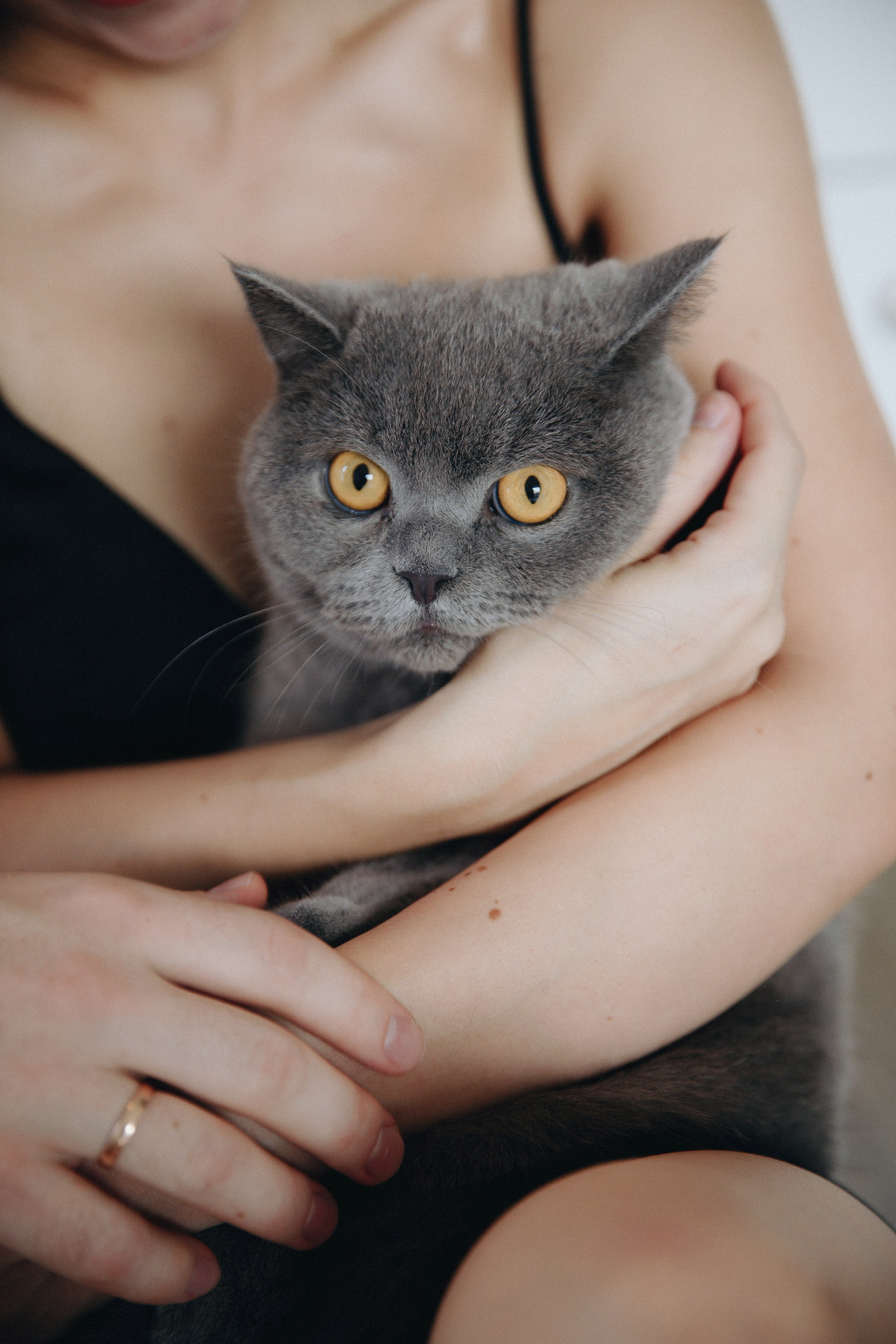 Anna+Andrew | At-home session. Photographer in Los Angeles. Julia Ishmuratova