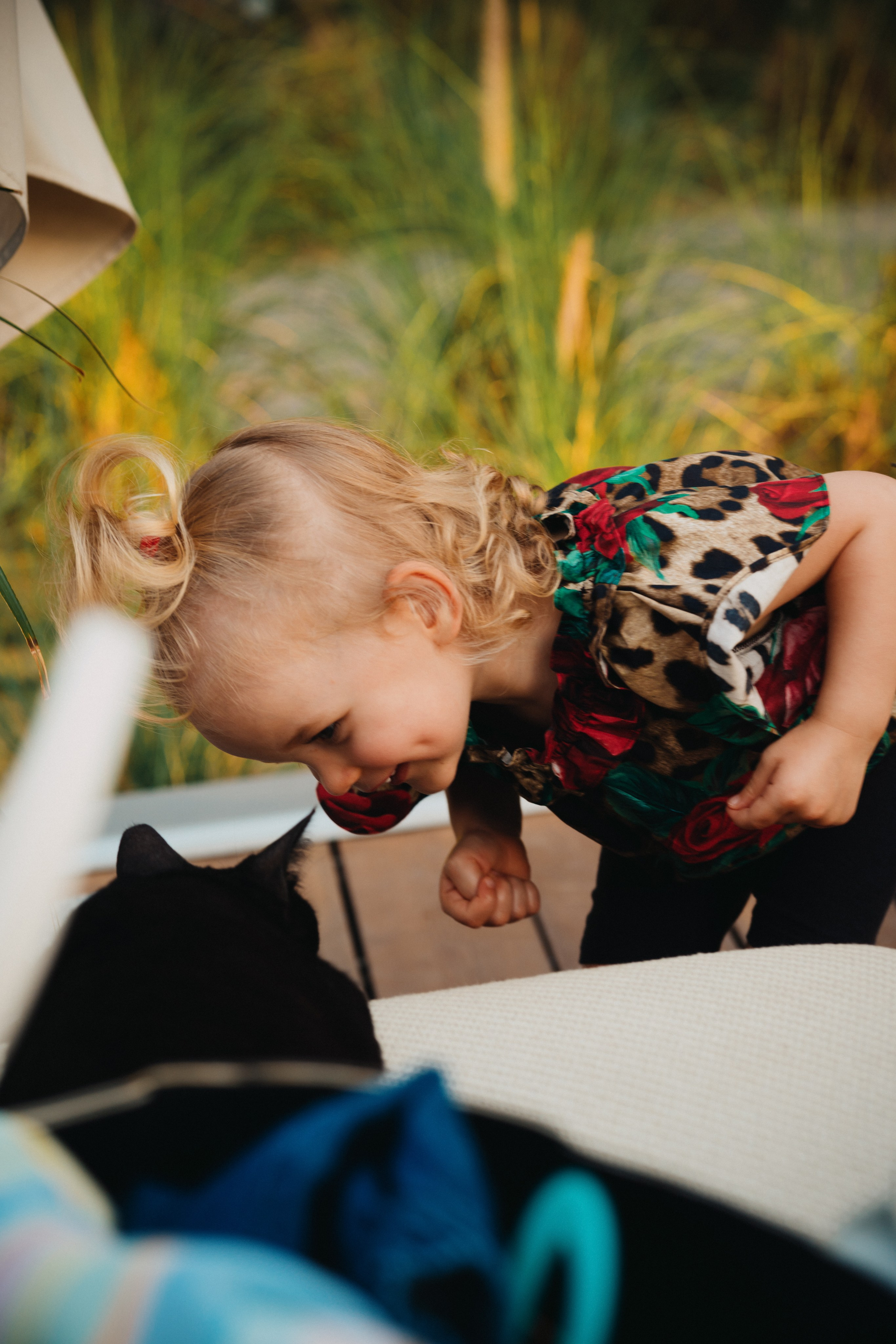 Aurora. Elena Pretzner Photography