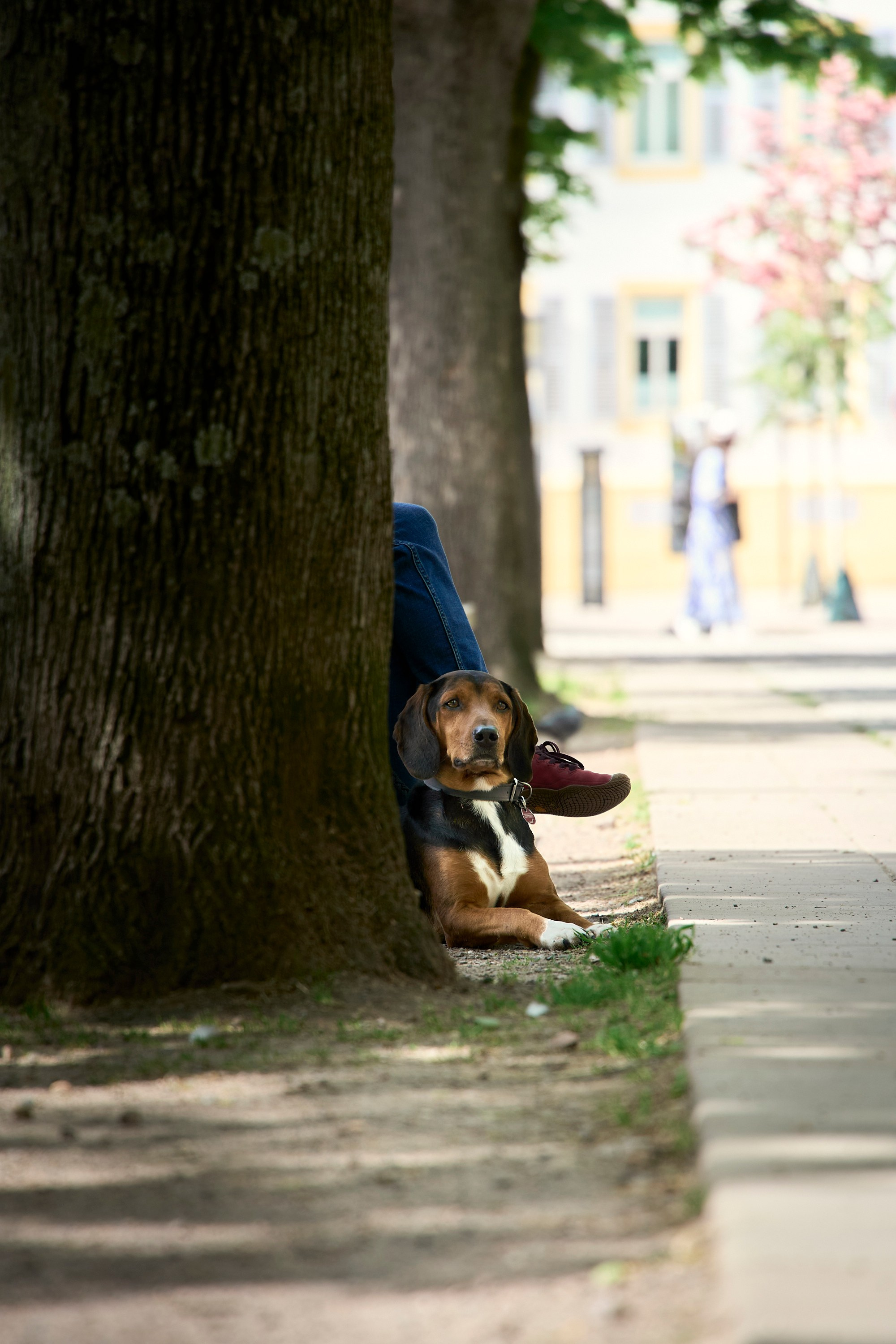 Speyer. Aleksandr Steinbrenner | Streetfotografie