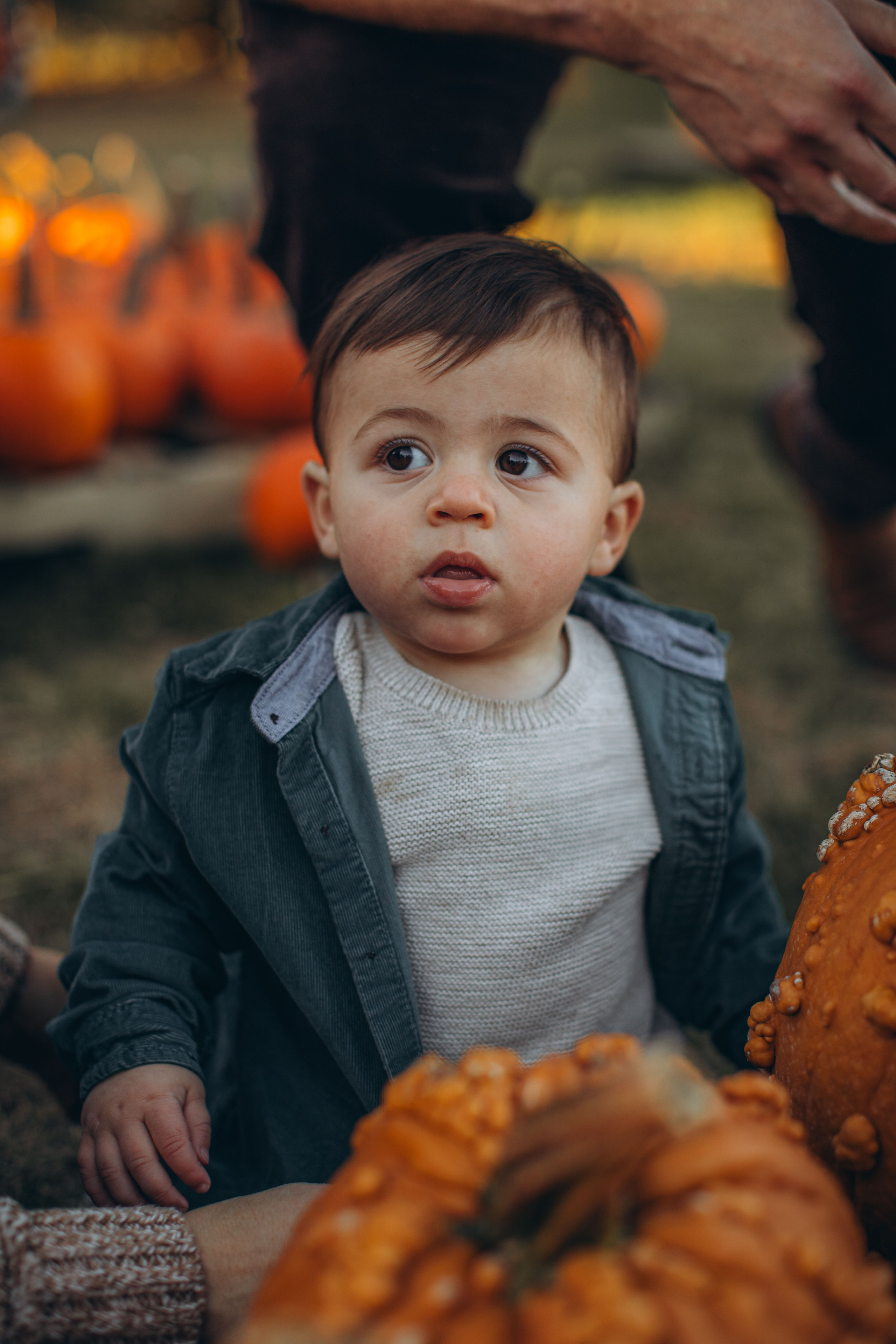 Victoria, Nick, Grayson and Noah at Harvest Moon Farm. Love Through Photo