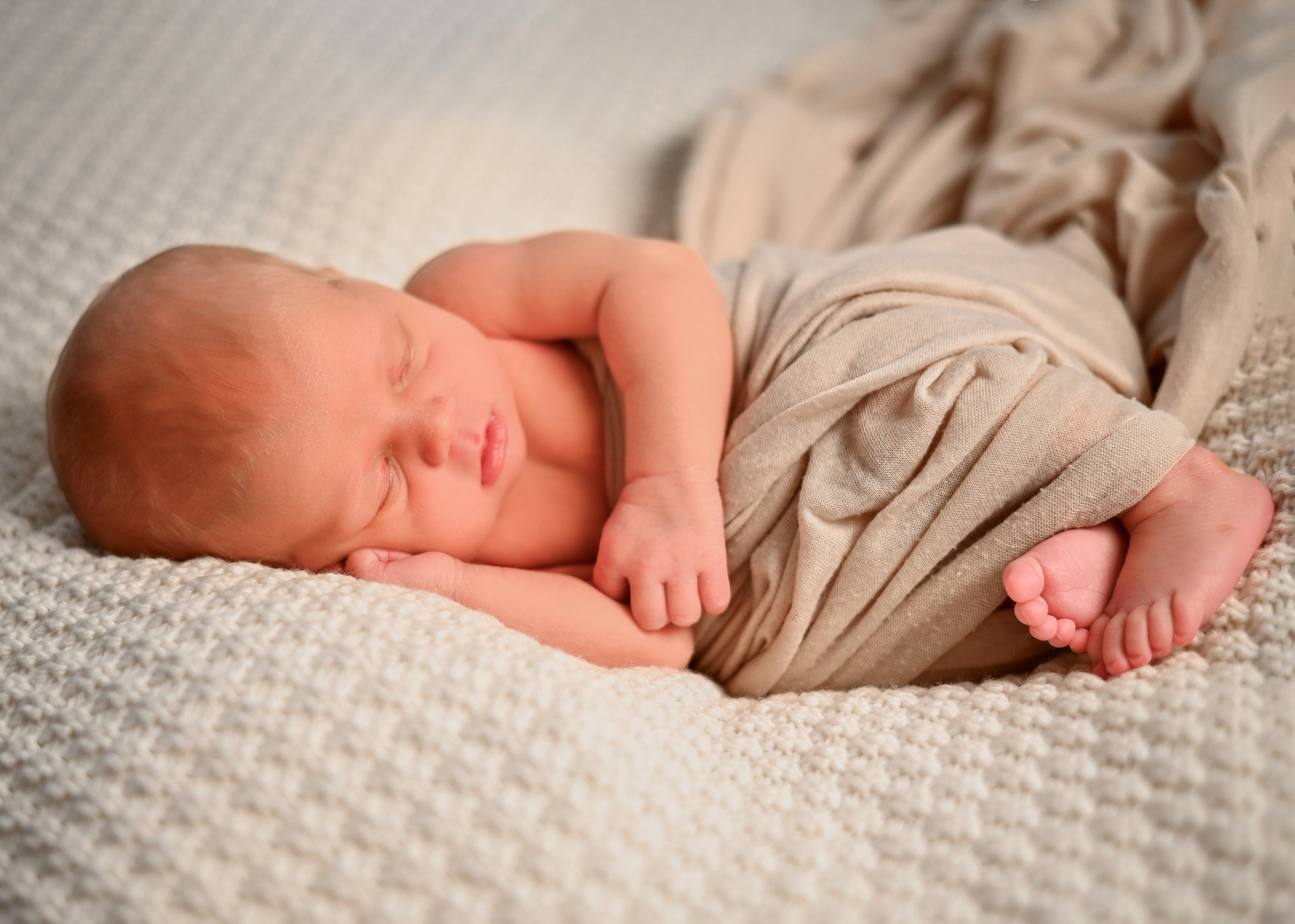 Neugeborene. Lena Horch