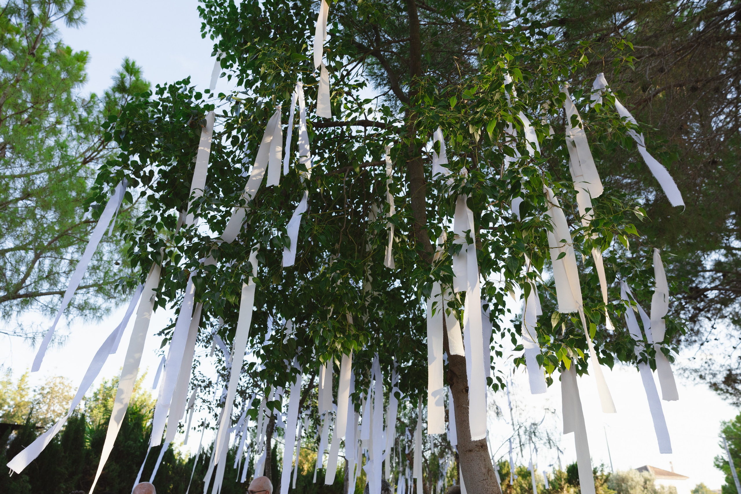 Mª ÁNGELES & ALEJANDRO. Fotógrafo y Videografo de bodas y eventos