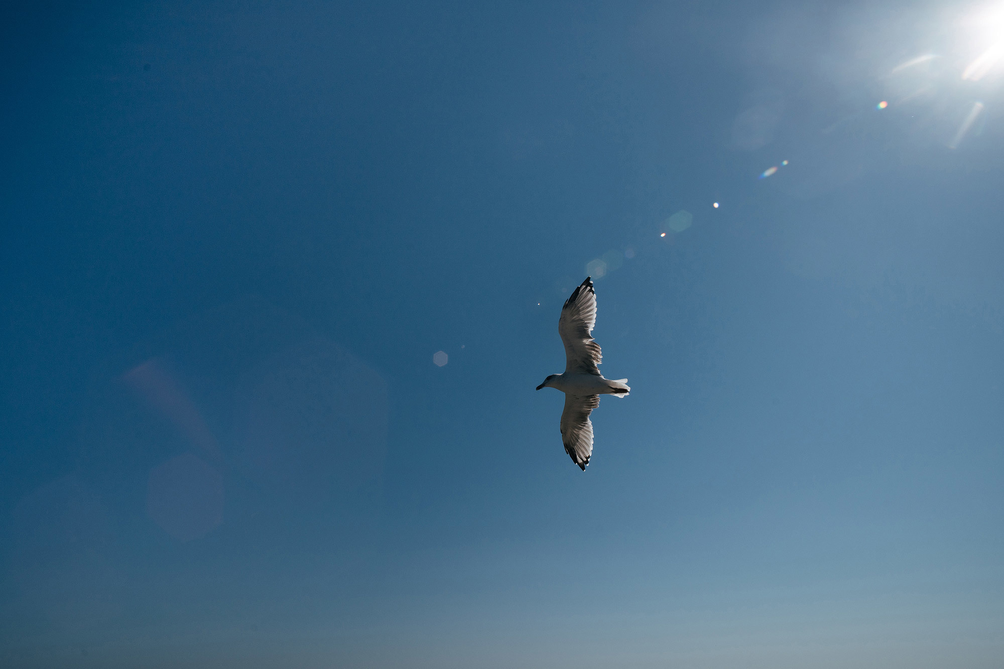 V&G. Wedding photograper — Alex Popov photography Germany, Switzerland, Italy, France. Based in Stuttgart