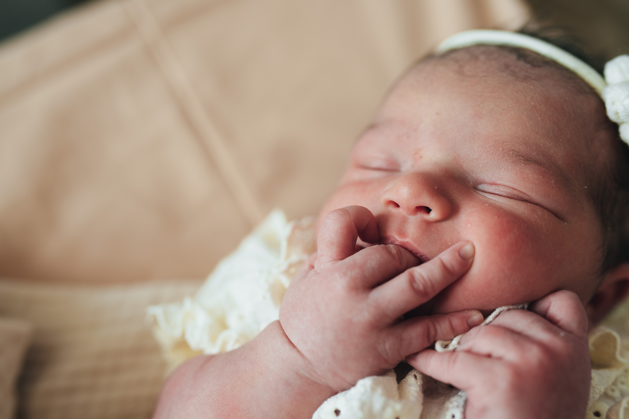 Fresh 48. Https://newbornphoto.wfolio.pro/me