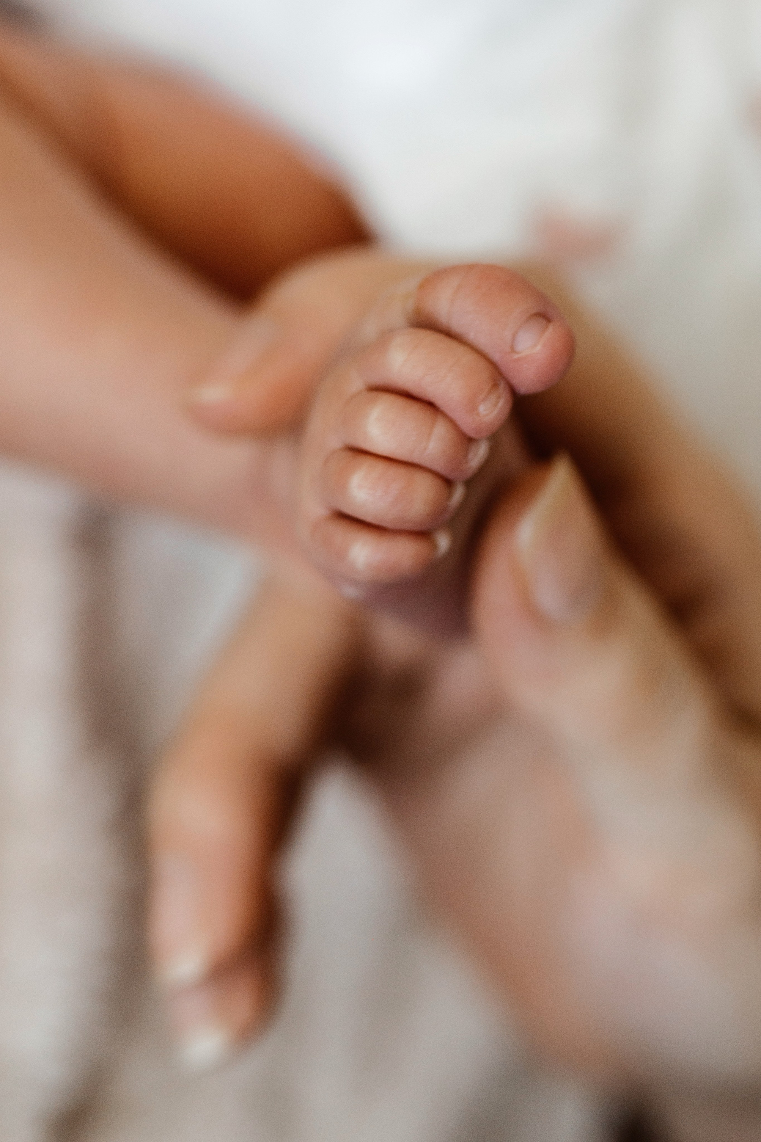 Vaniușa | primele zile de viață. Home