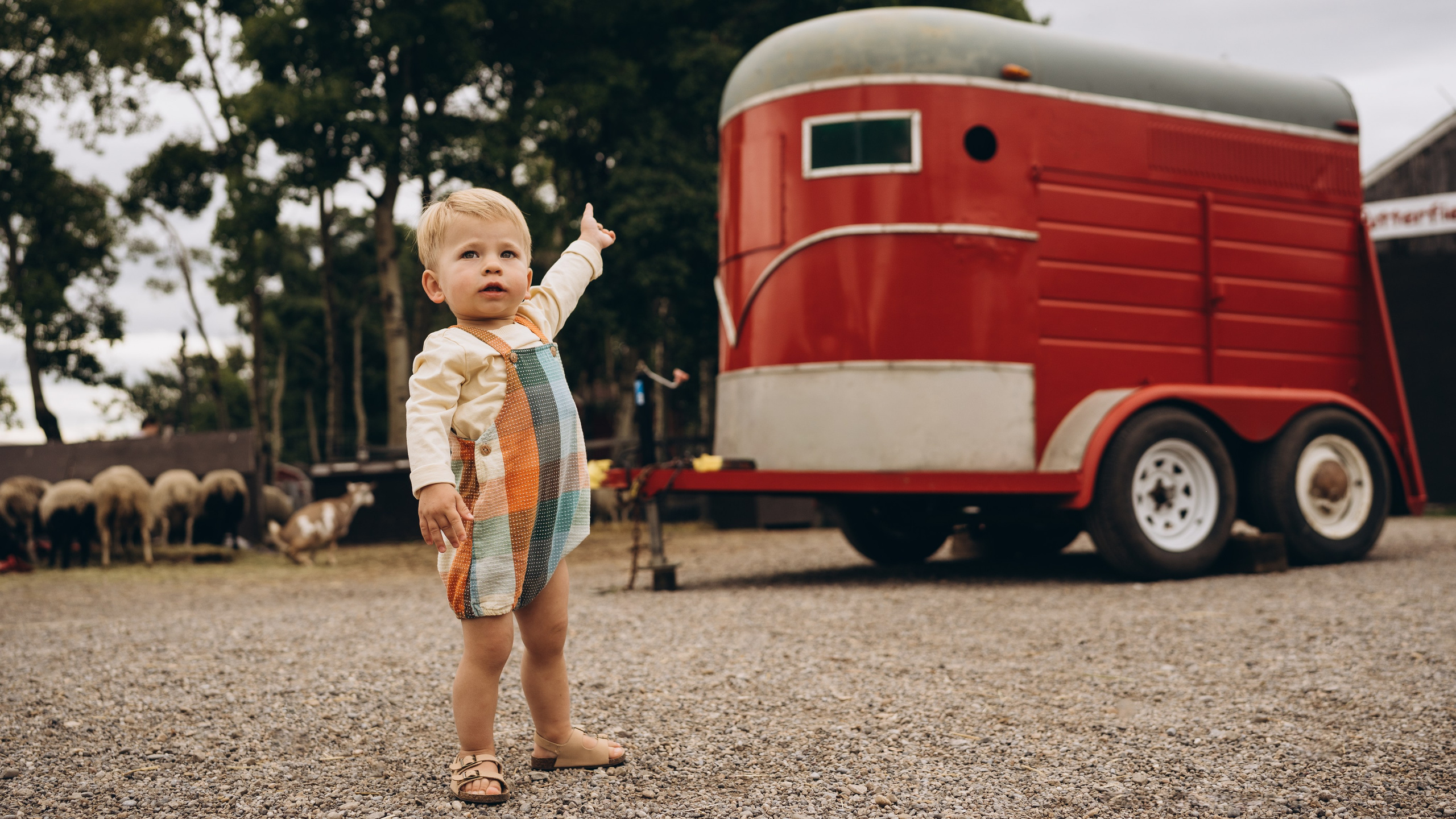 Lev. Calgary Wedding & Lifestyle Photographer — Yevhen Polishchuk