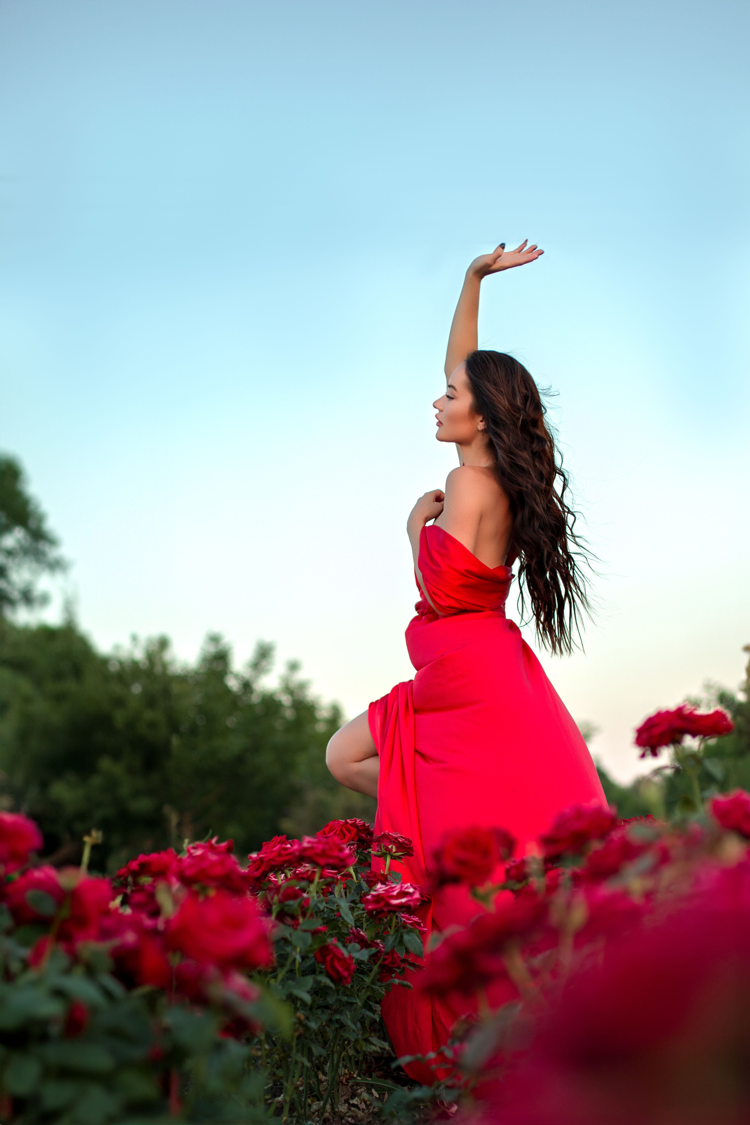 Розы. Детский и семейный фотограф в г. Бельцы