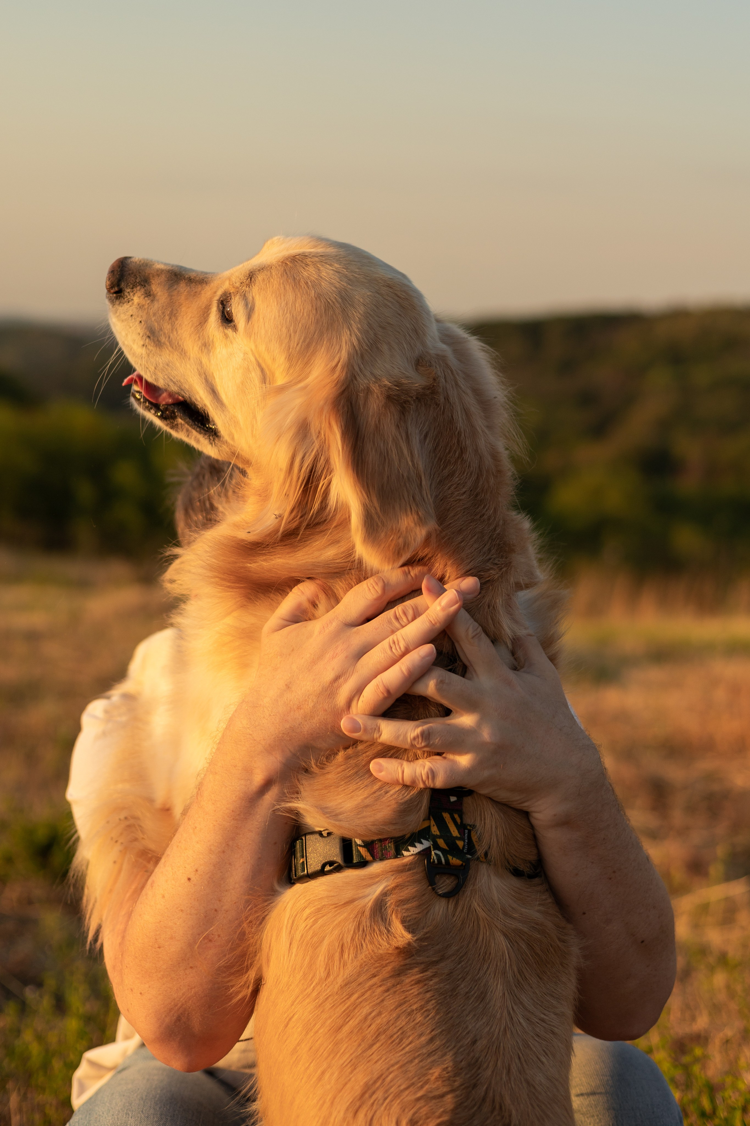 Антон и Плюша. Фотограф-анималист | Белград
