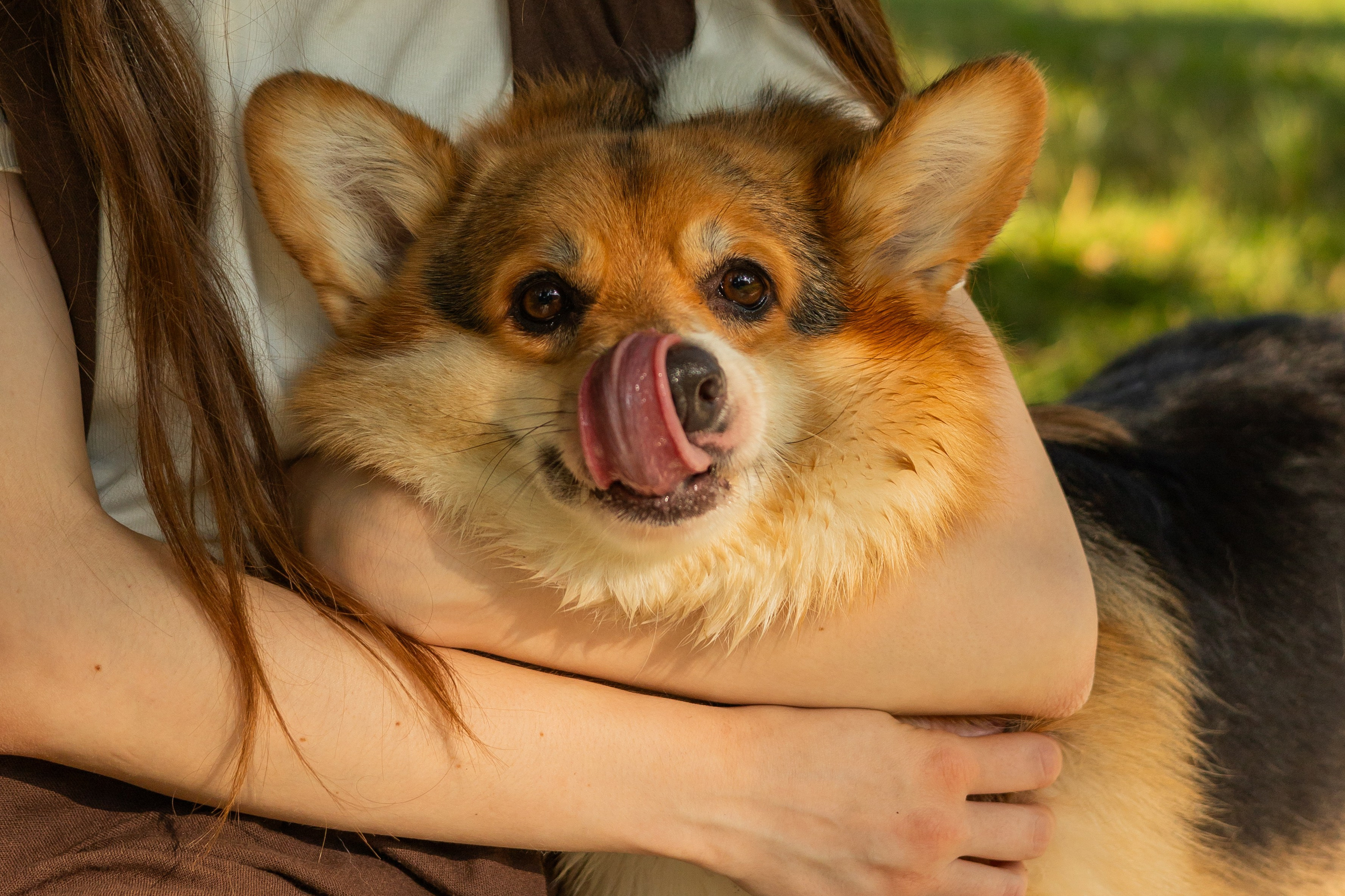 Мария и Санти. Фотограф-анималист | Белград