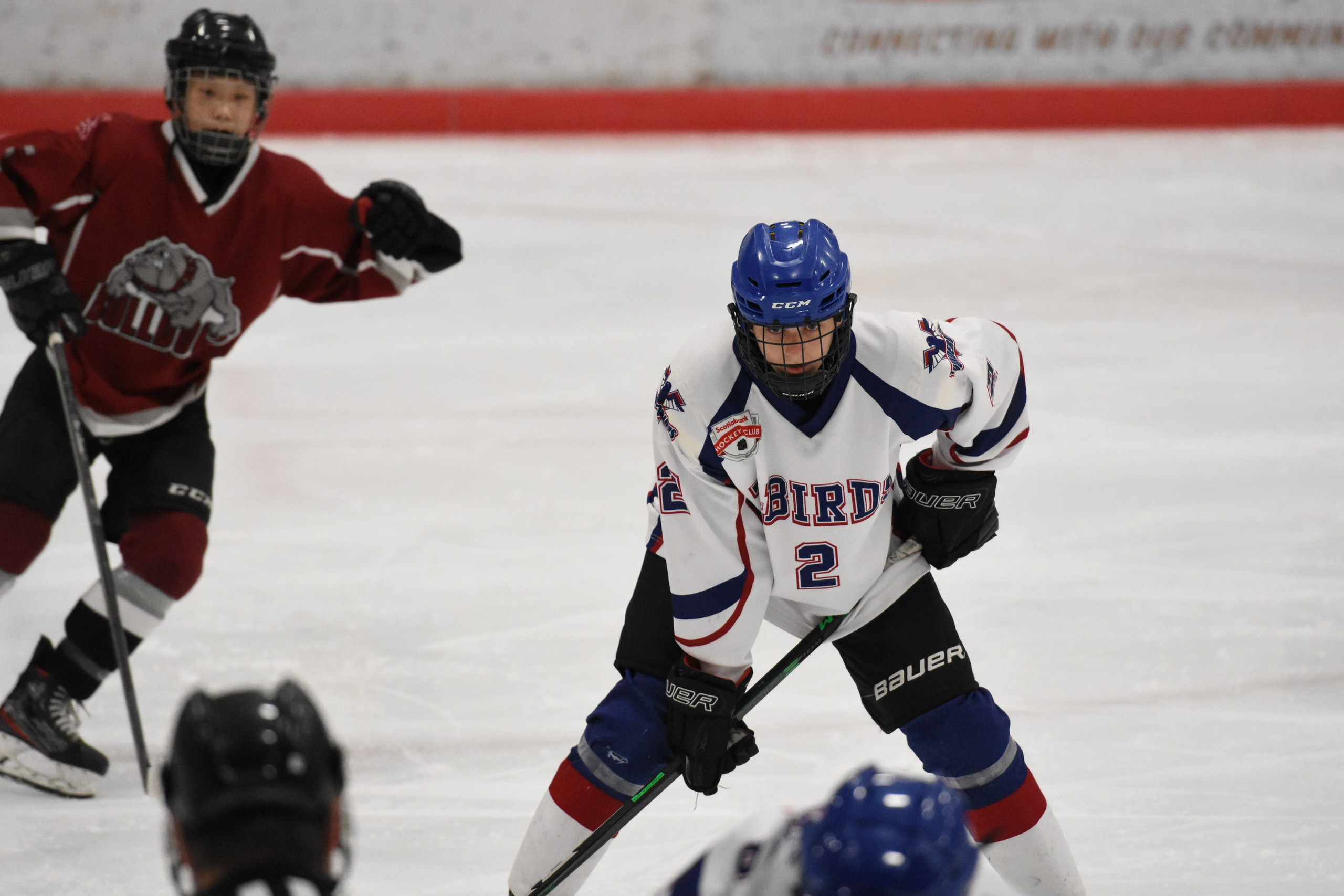 Ice Hockey. Jennifer Lai Media