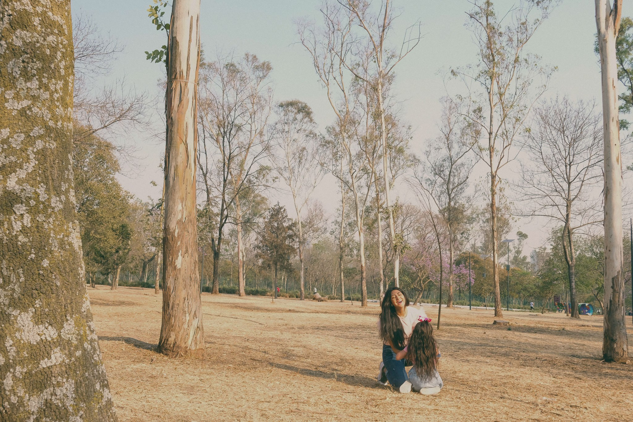 Fam Jarquin. Wedding and family photographer in Mexico City