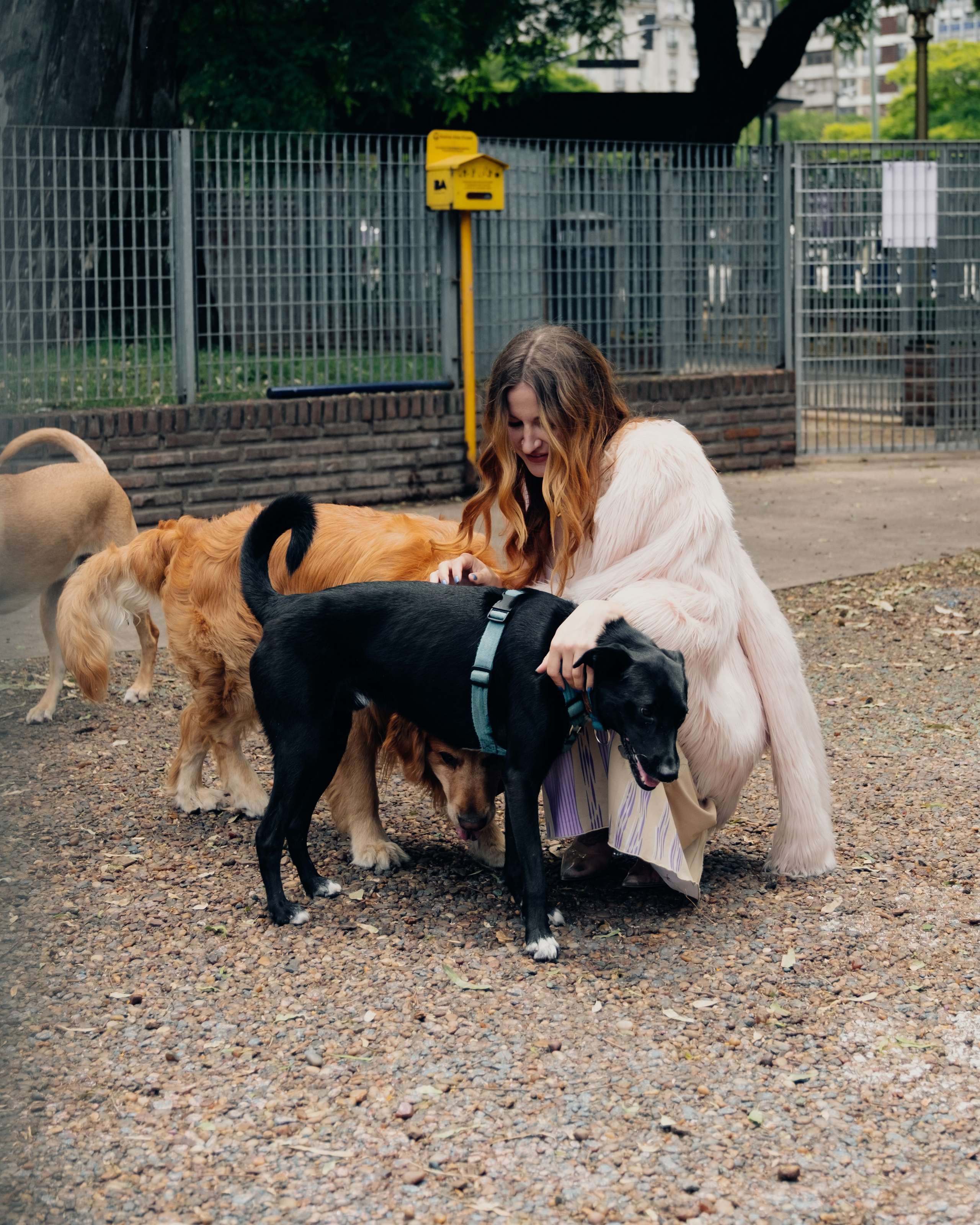 Tasha. Photographer Olga Tsoi