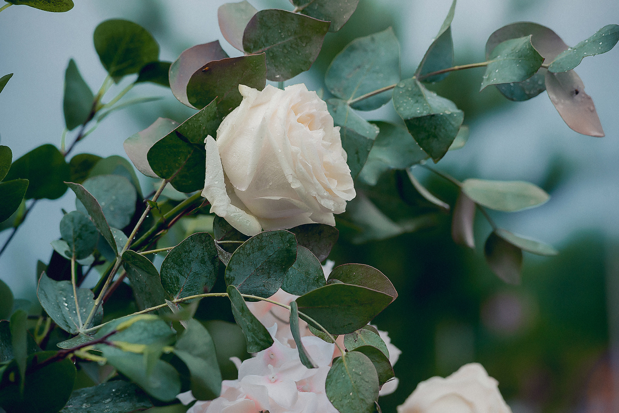 Ангелина и Владислав. Свадебный и семейный фотограф Екатерина Шестакова