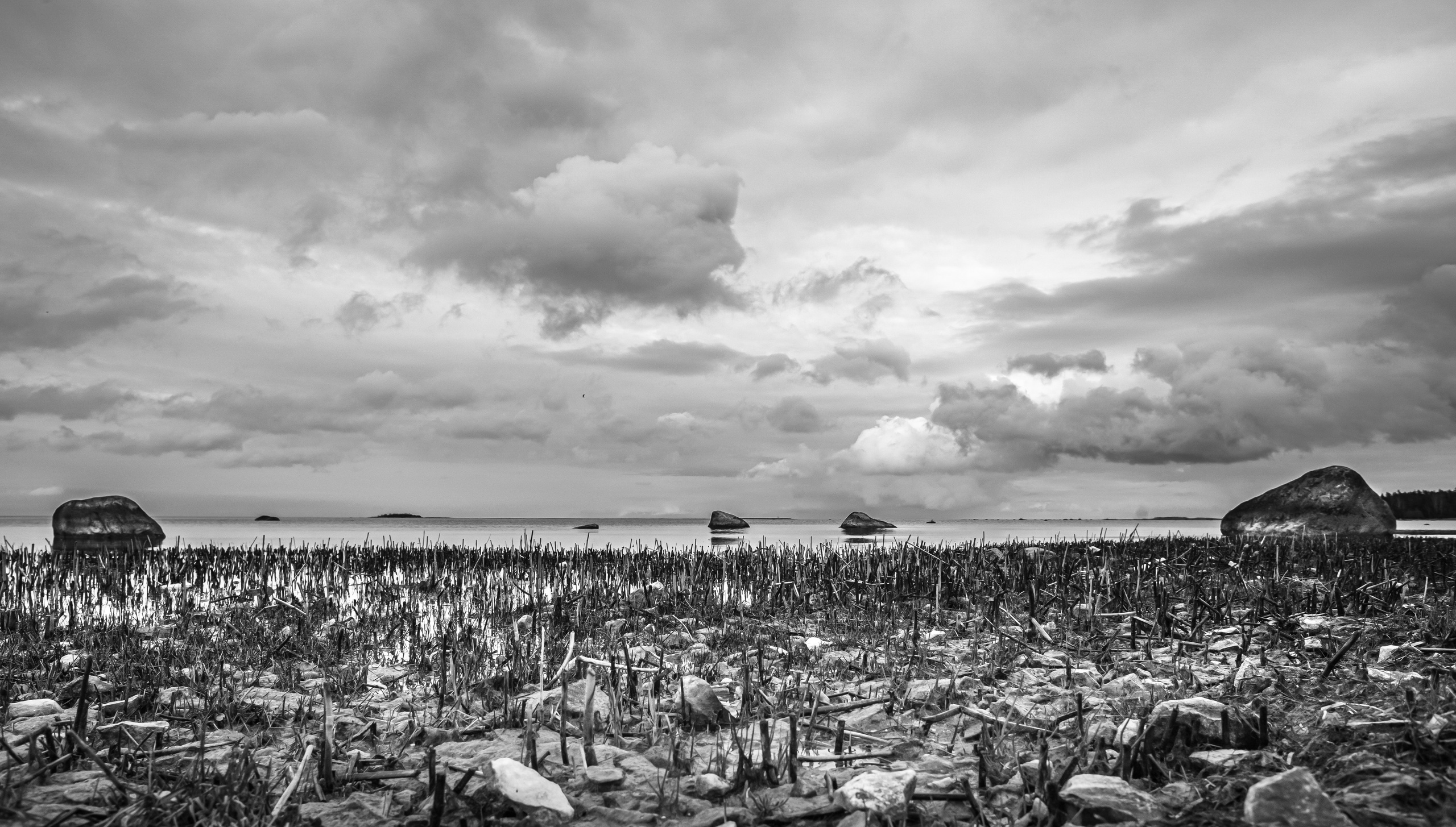 LondonSpeed. LondoSpeed Photography