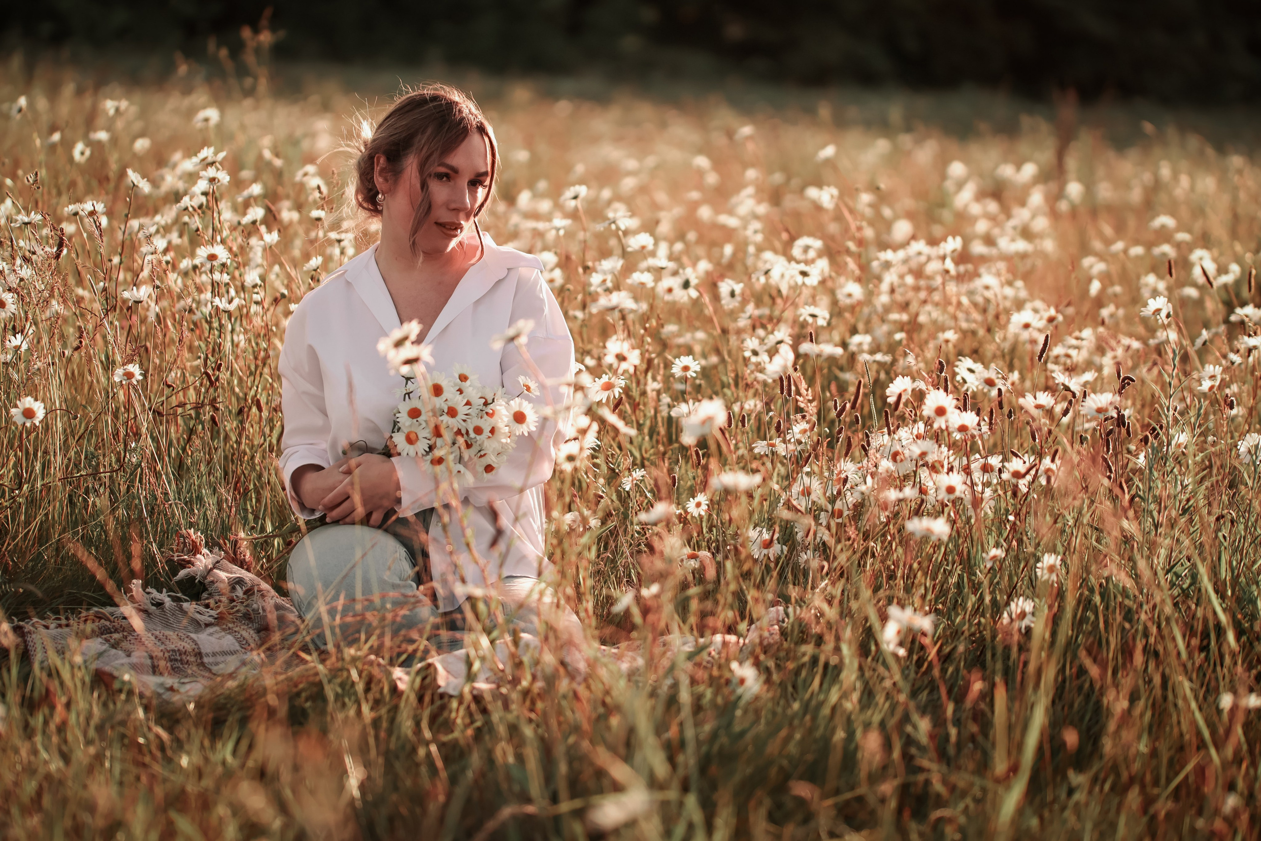 Daises. Photographer Co Dublin, Balbriggan — Agata Maliseva