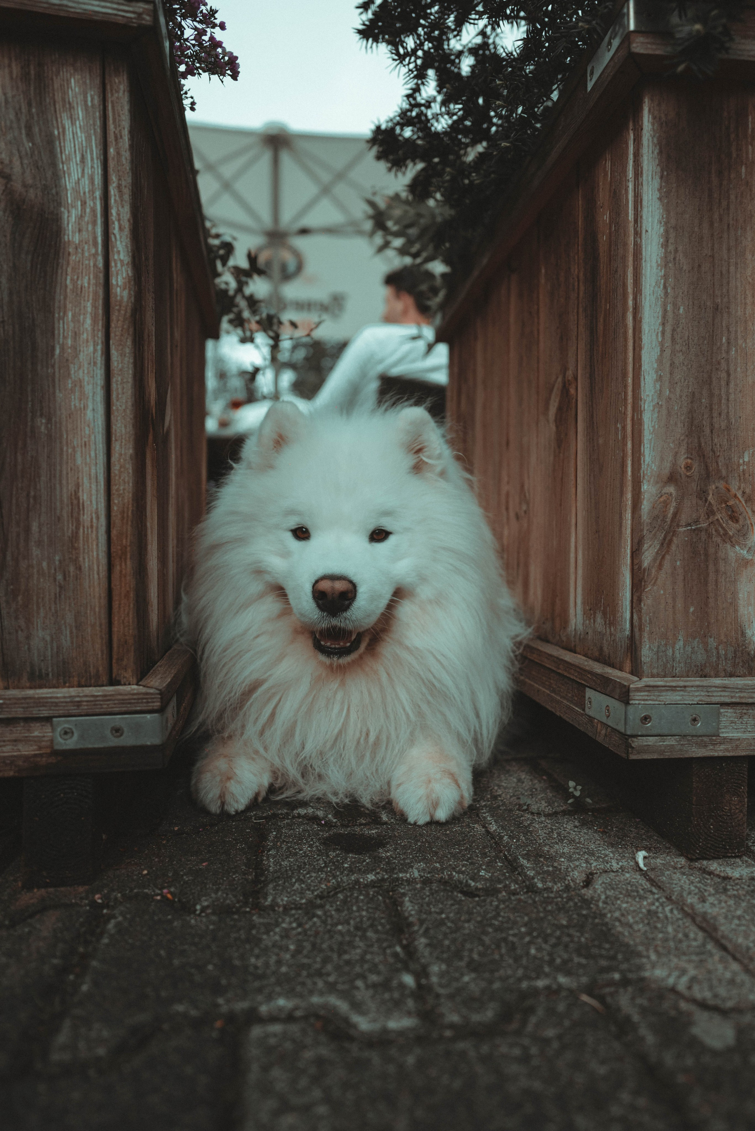 PRICES. Video & Photo Service