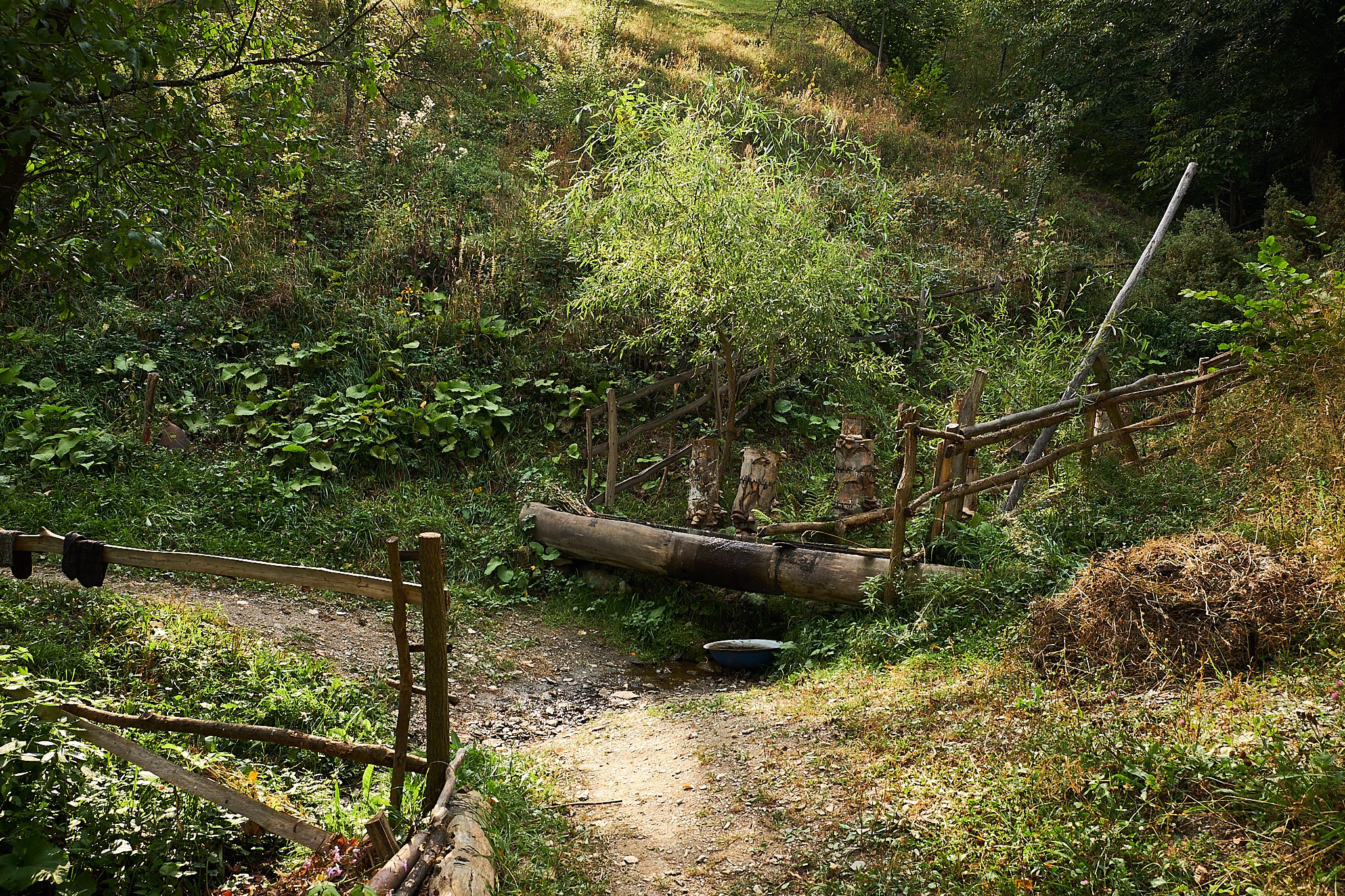 Ineleț, jud. Caraș-Severin. Pagina principală