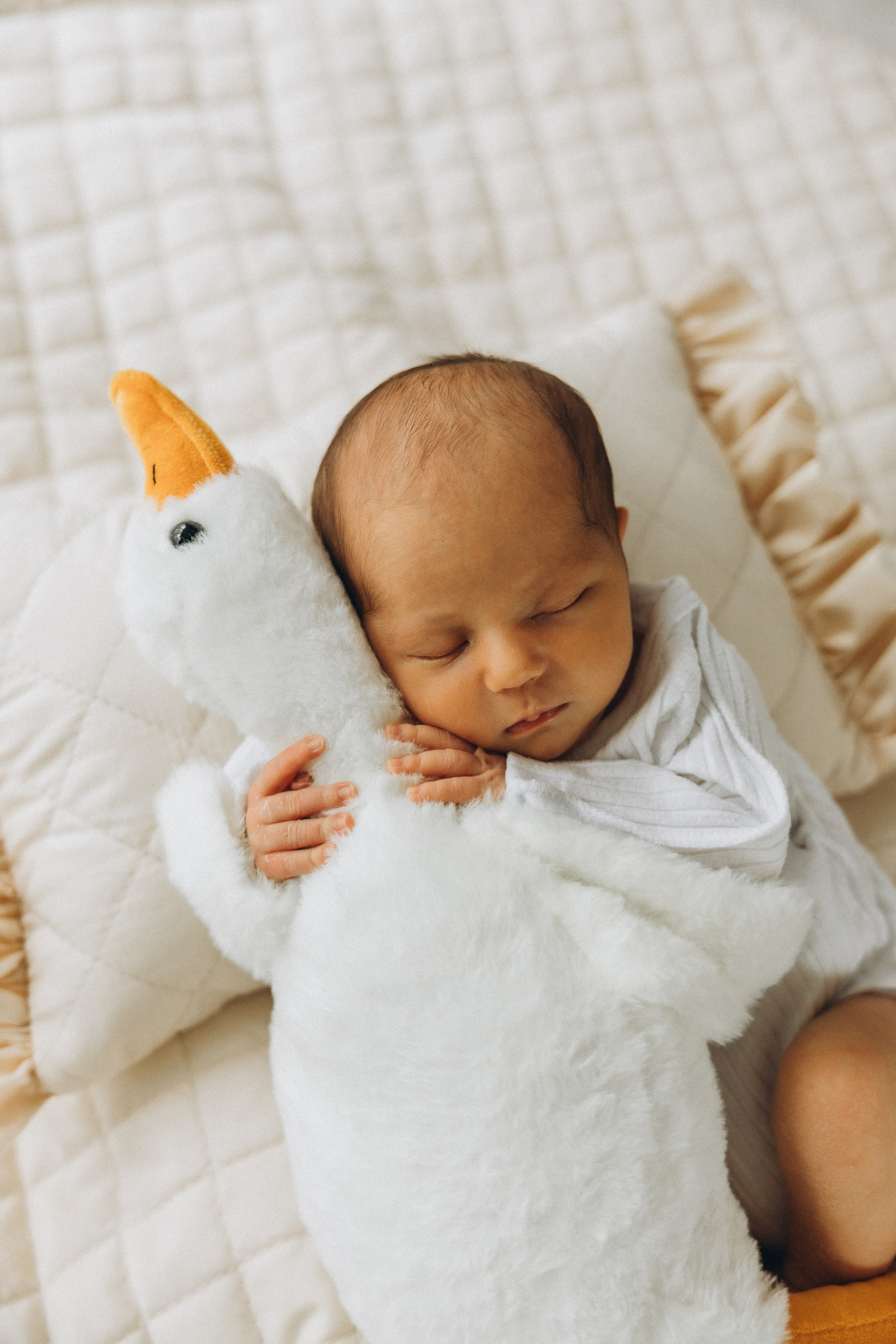 Newborns. Children’s and family photographer in St. John’s, NL | Marina Peliukh