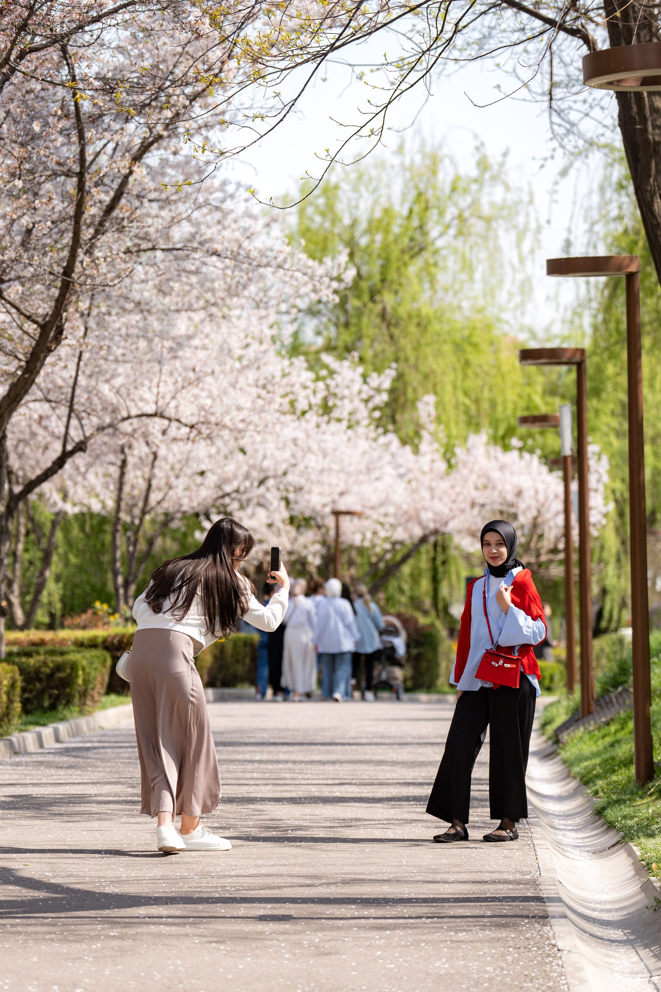 Весенний вайб Ташкента. Георгий Намазов | Фотограф в Ташкенте