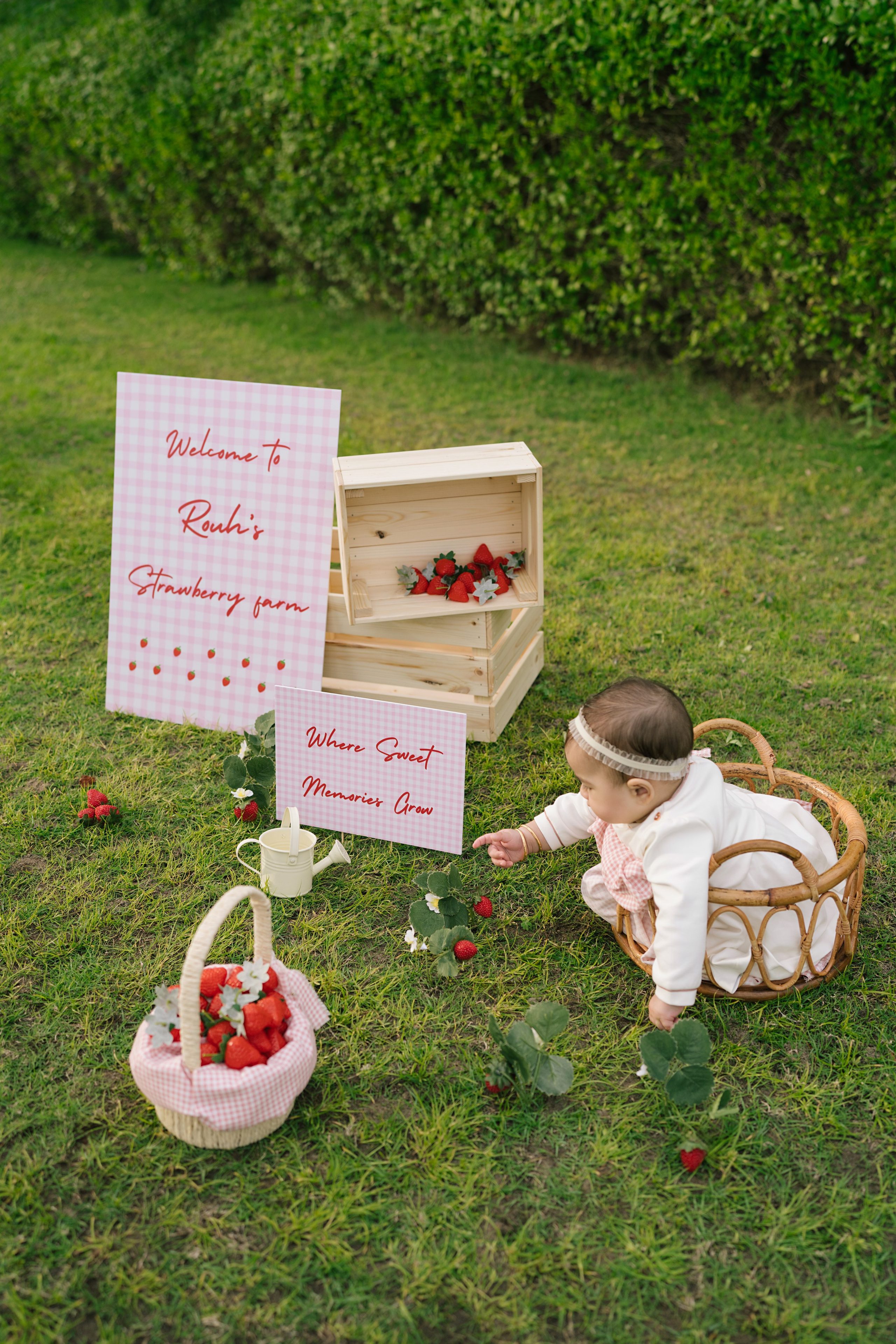SITTER PHOTOGRAPHY. Newborn, Sitter and Cake Smash Photographer in Doha, Qatar