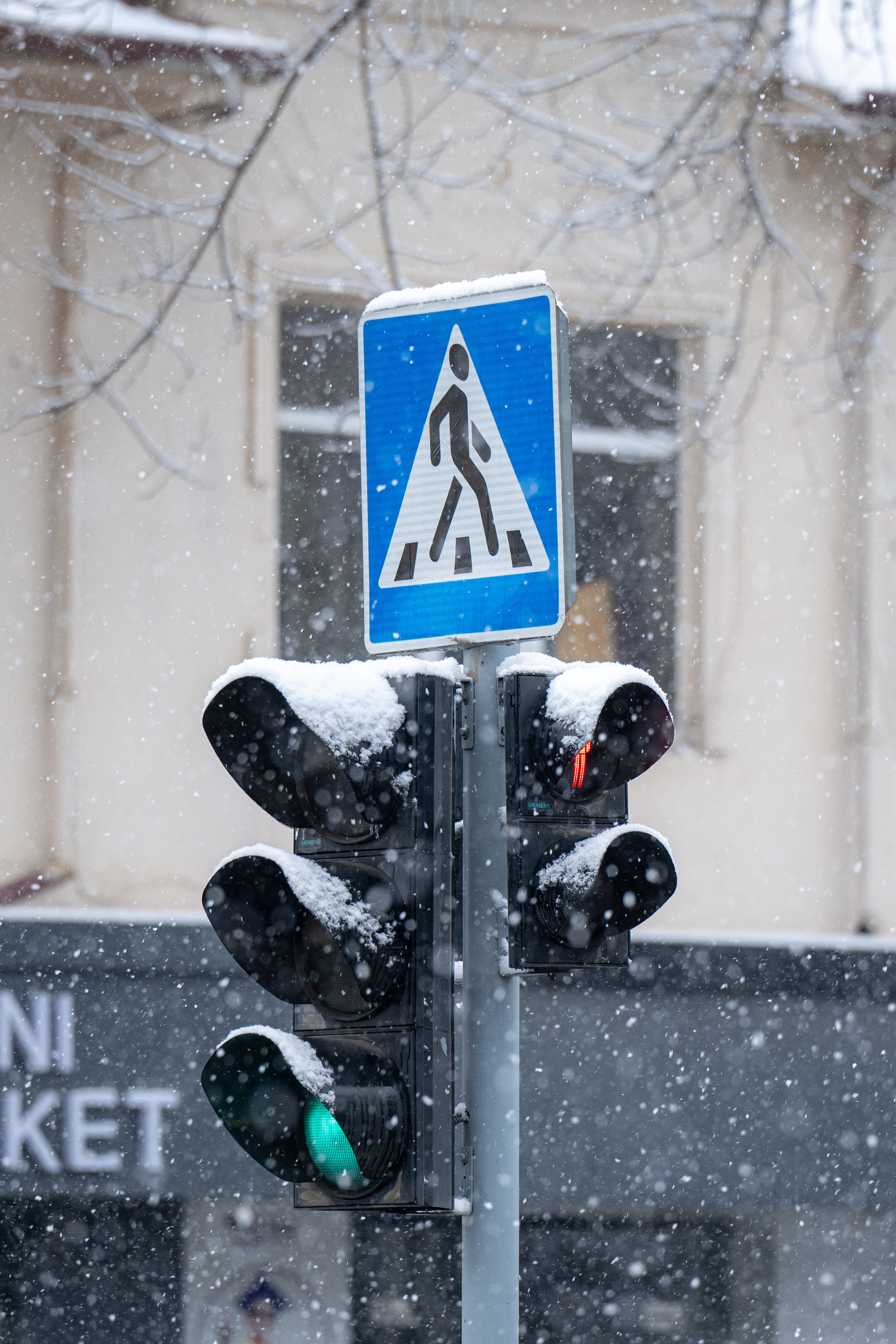 Первый снег в 2024 году. Георгий Намазов | Фотограф в Ташкенте