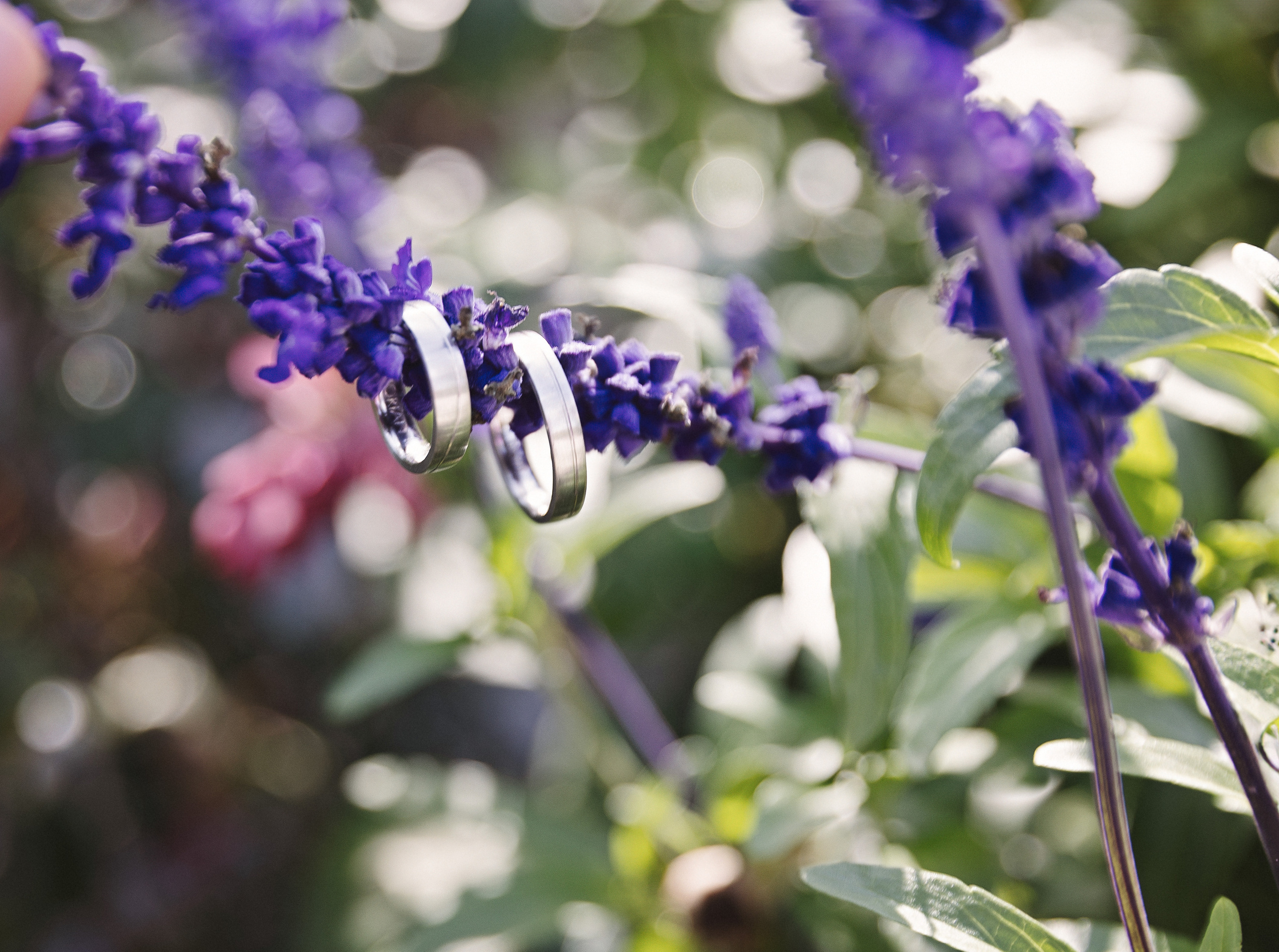 Hochzeit. Oxana Gruber Fotograf
