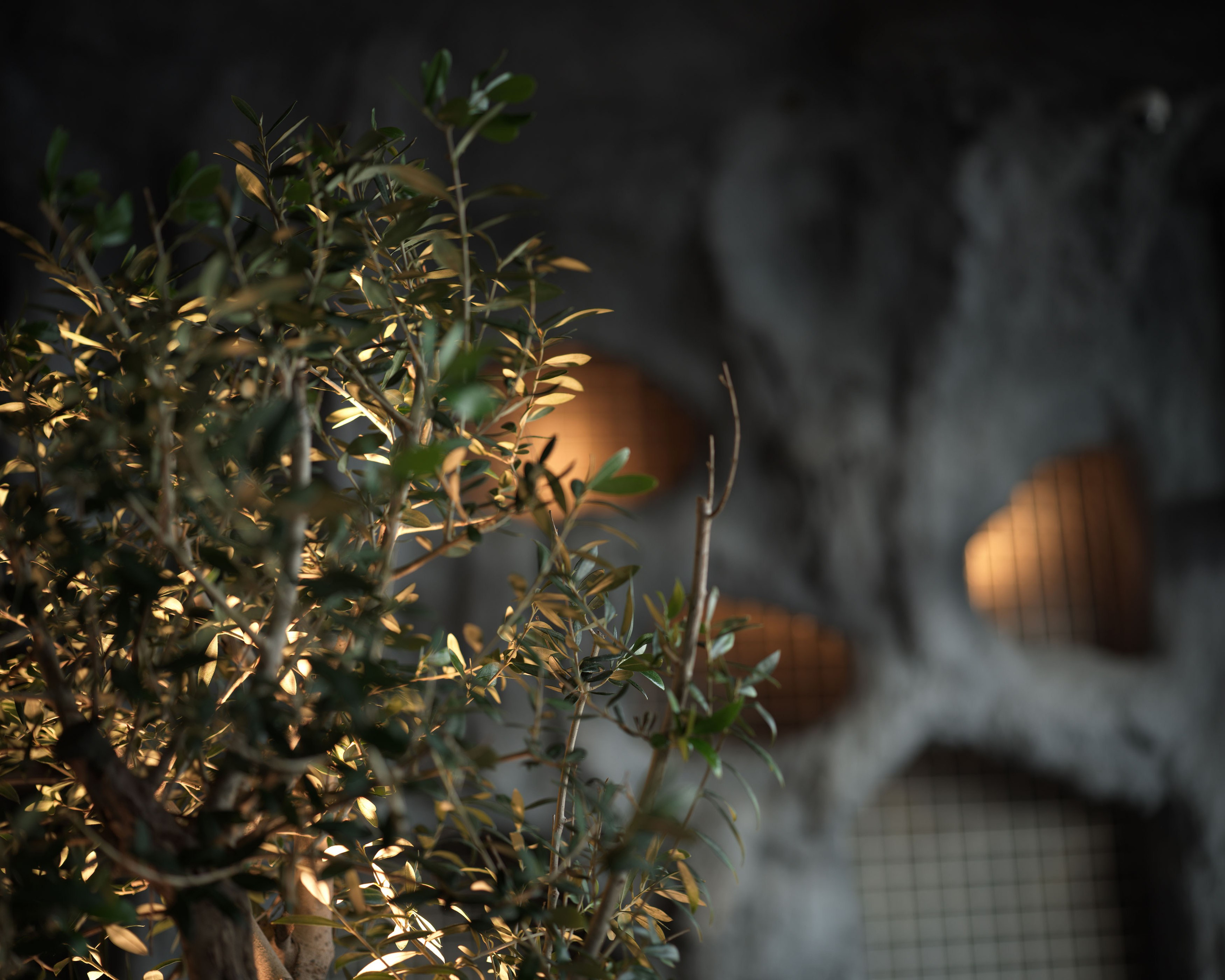 Places to visit in Abu Dhabi — CAVE Cafe. Sergio Russo — TOP Wedding Photographer in Dubai